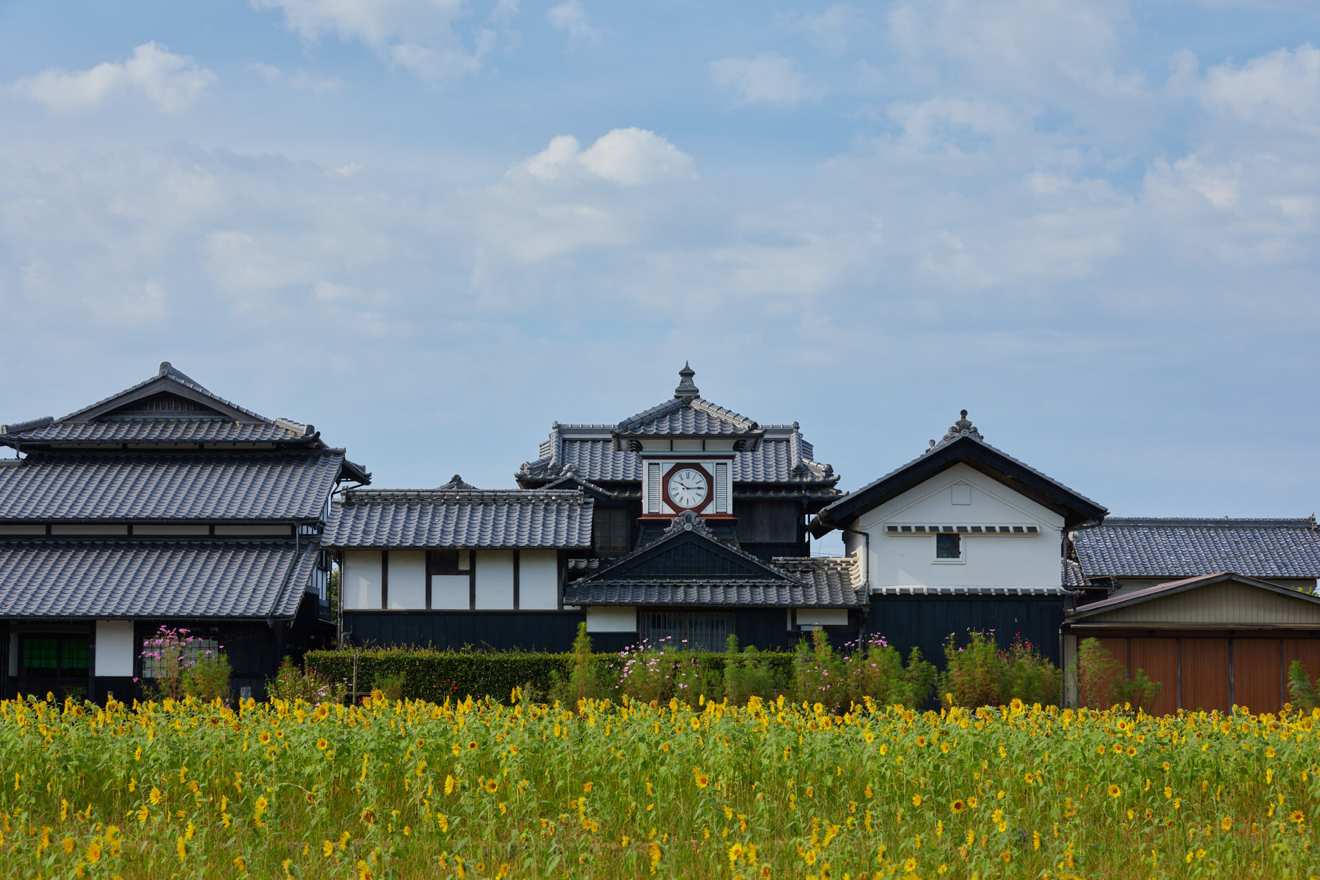 野良時計