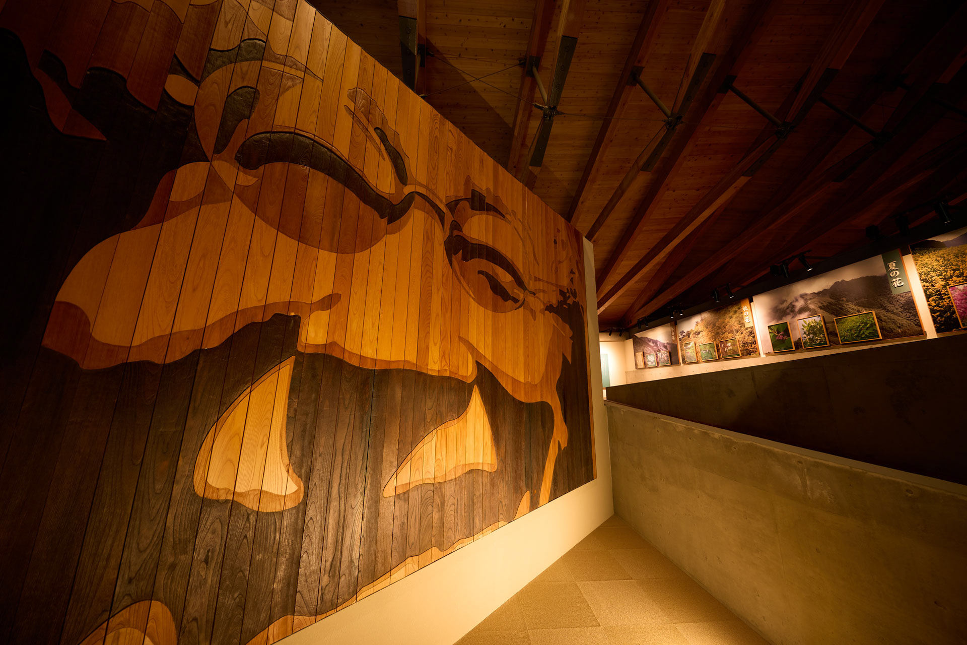 牧野富太郎記念館 展示館