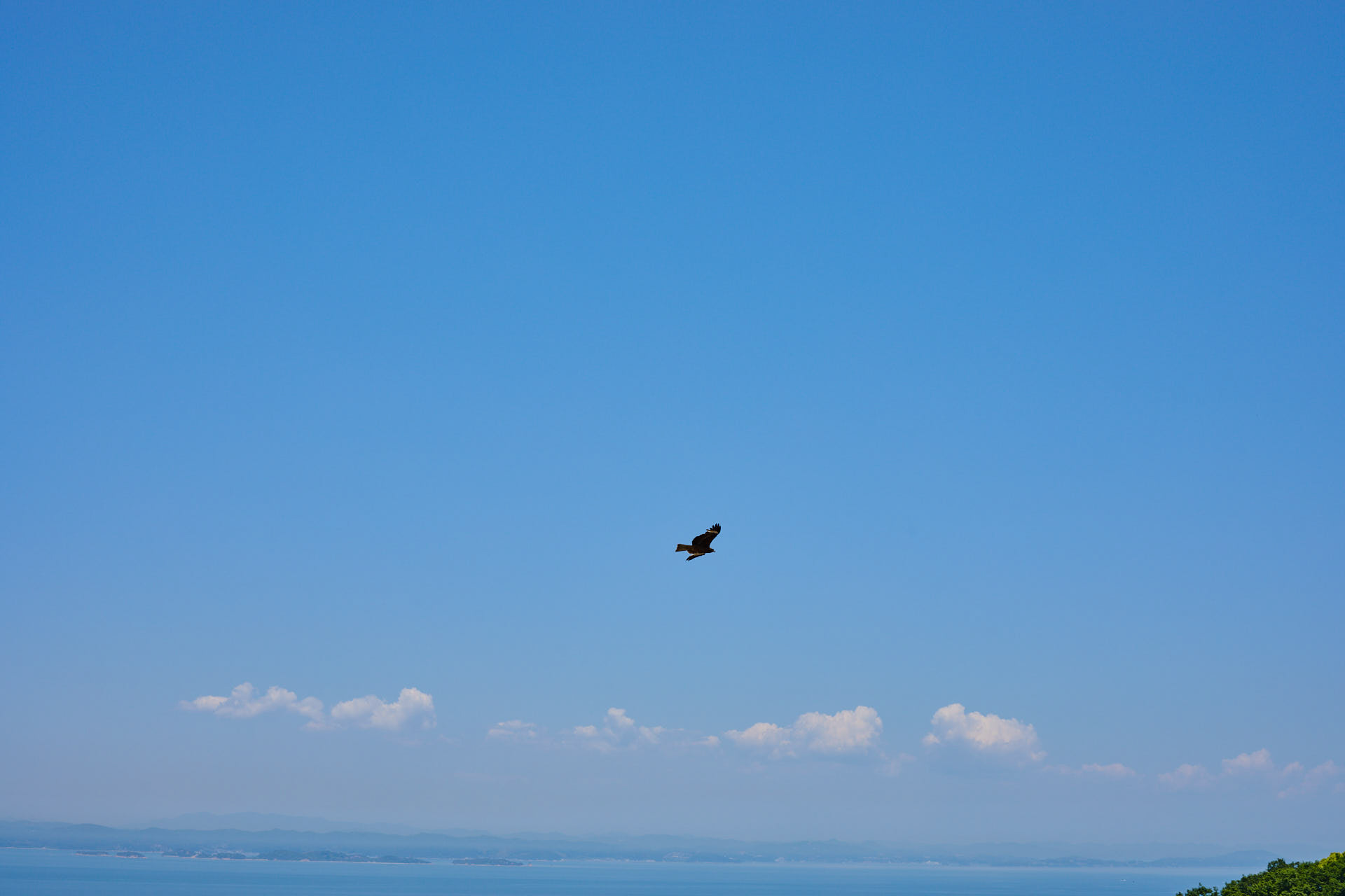唐櫃・豊島の棚田