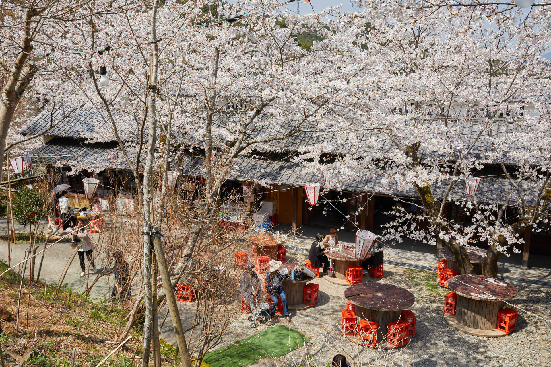 牧野公園