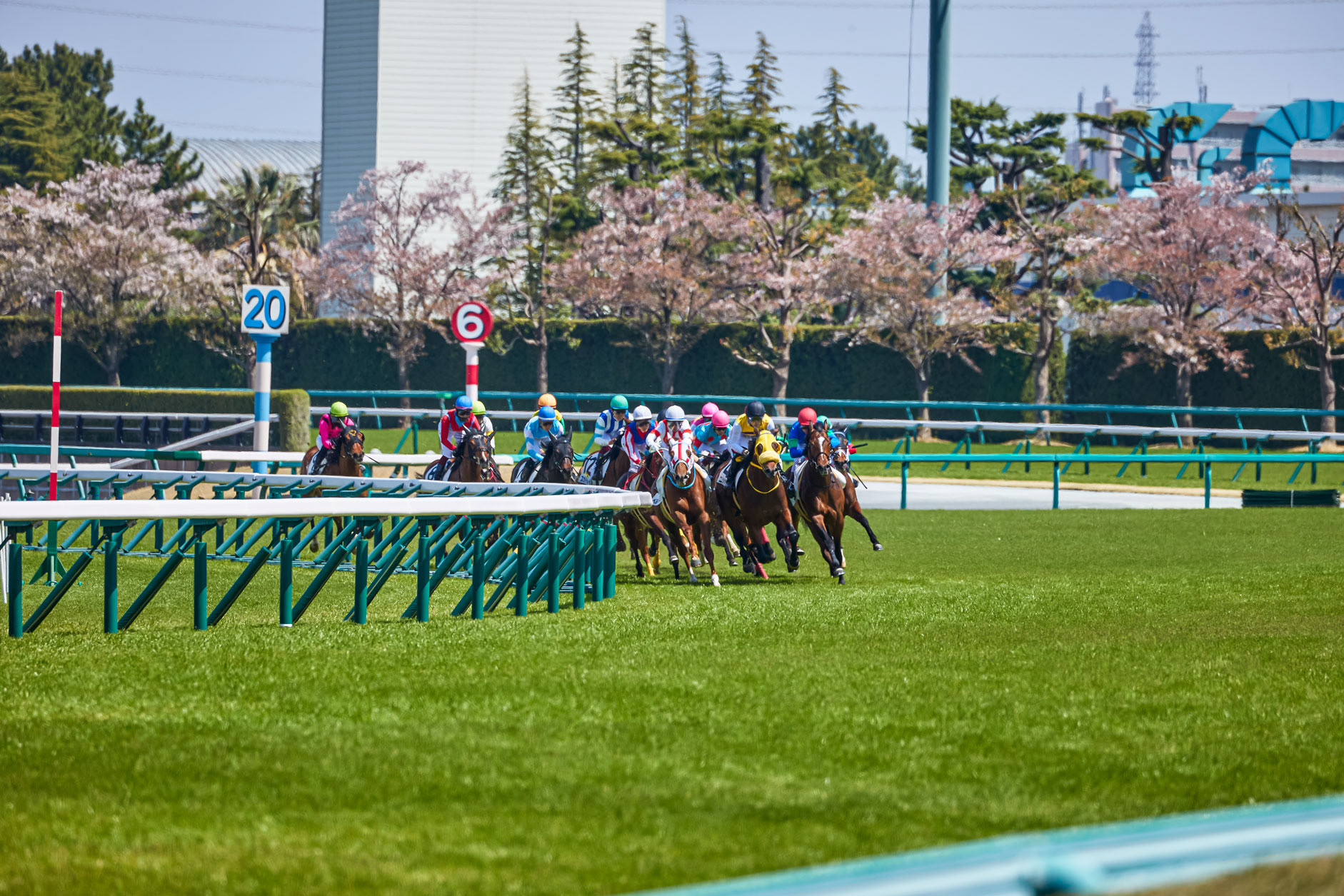 阪神競馬場
