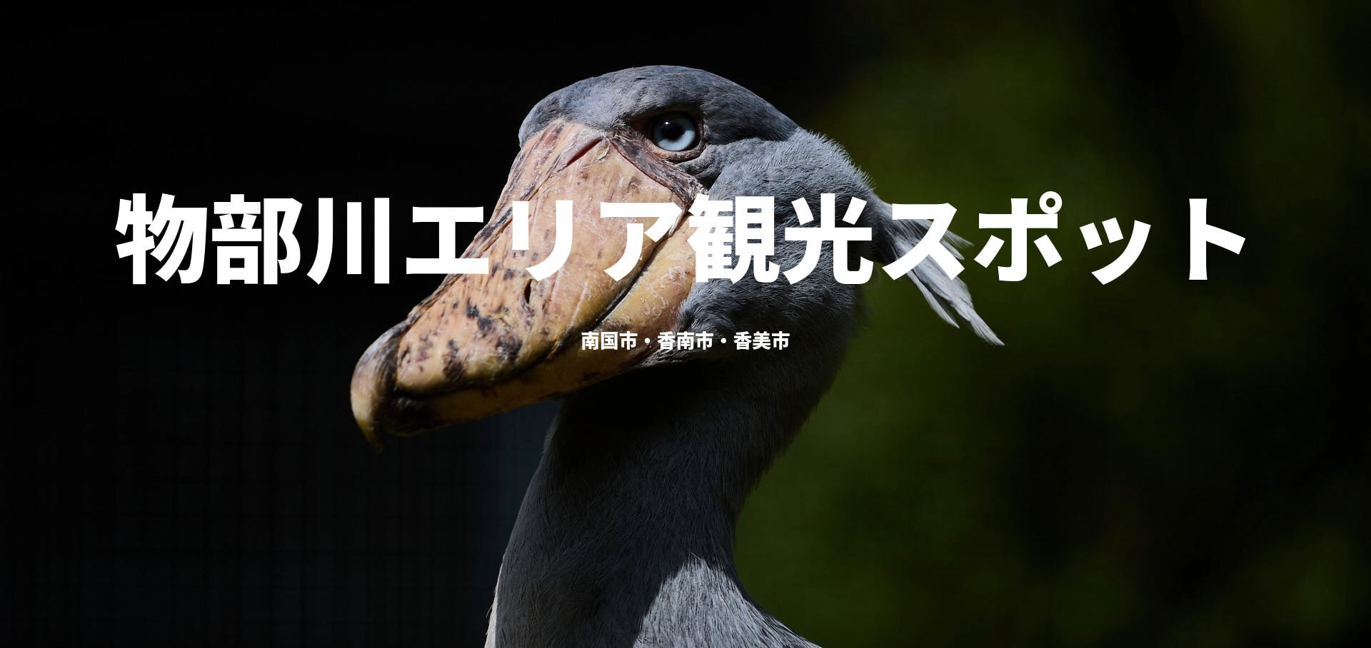 物部川エリア観光スポット