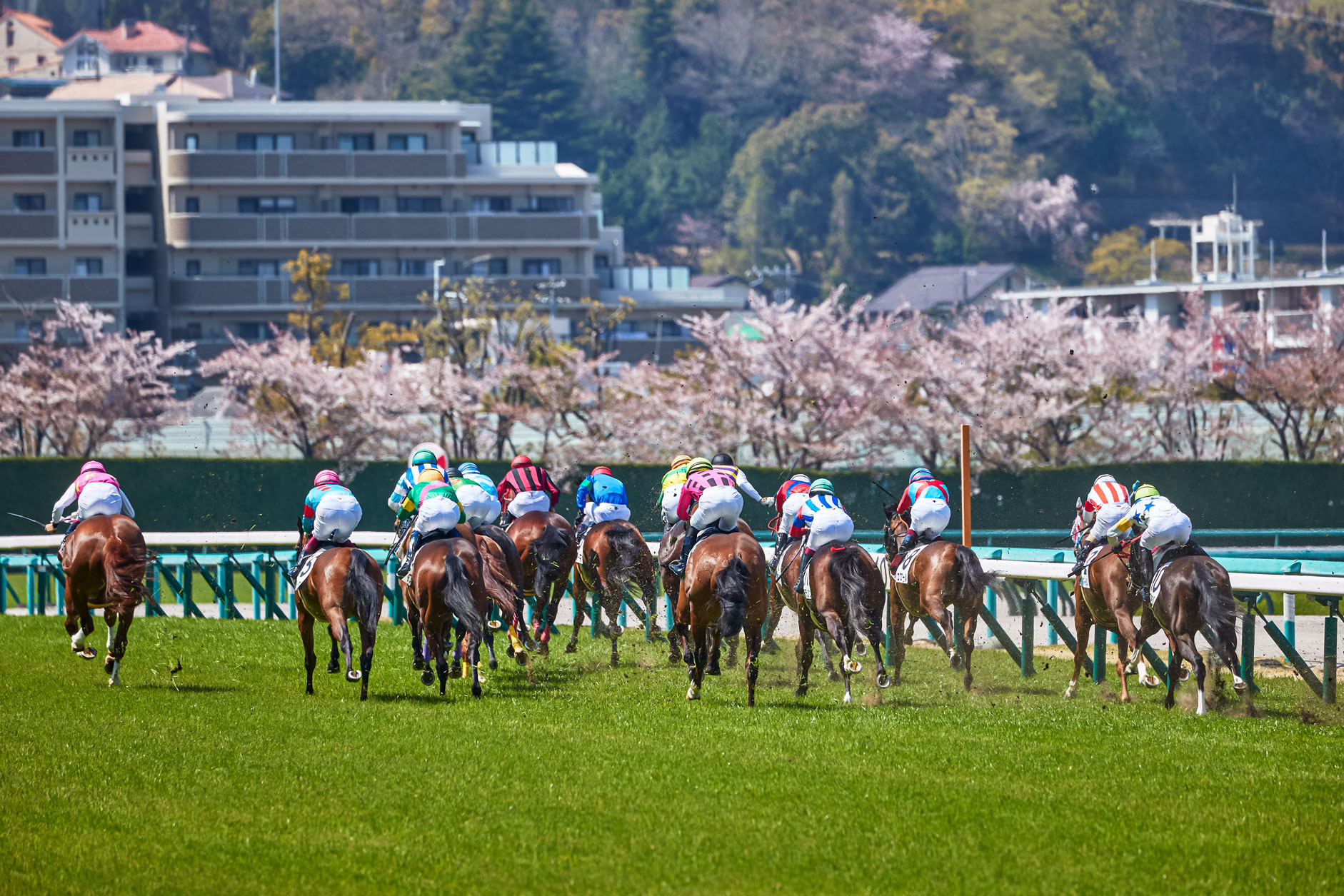 阪神競馬場