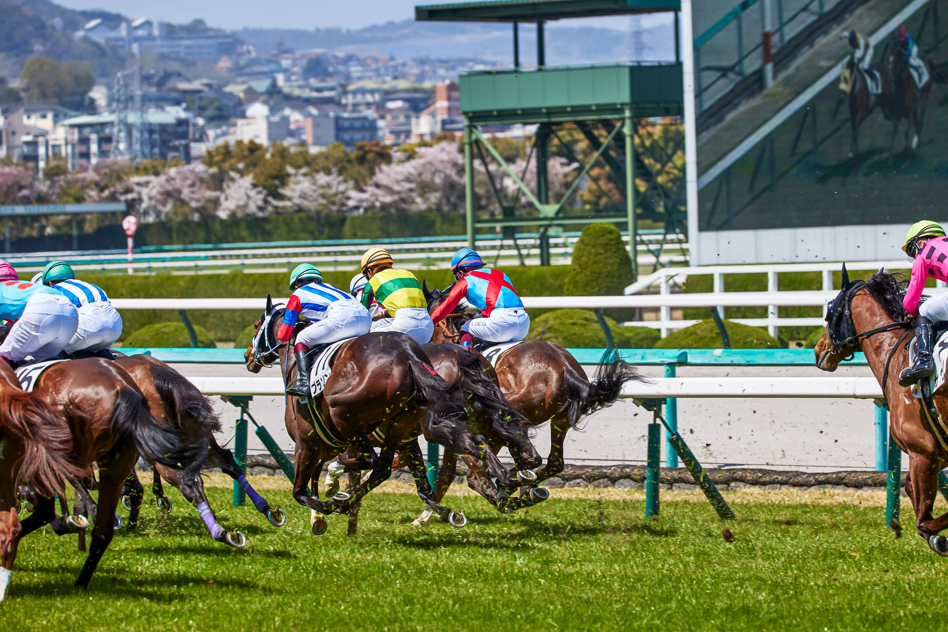 阪神競馬場