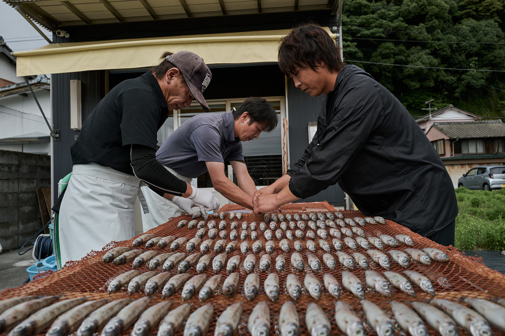干魚のやまさき メヒカリ