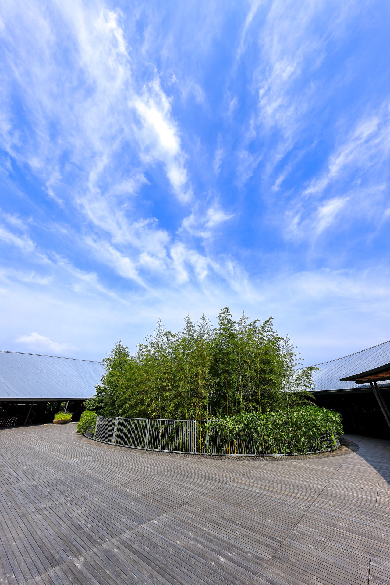 高知県立牧野植物園 本館