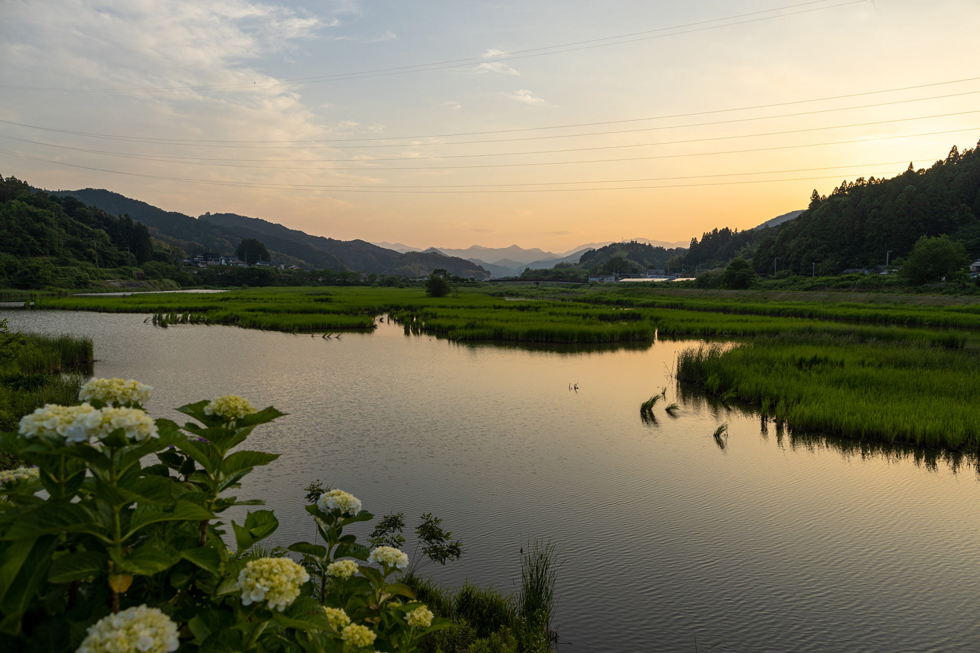 日下川調整池