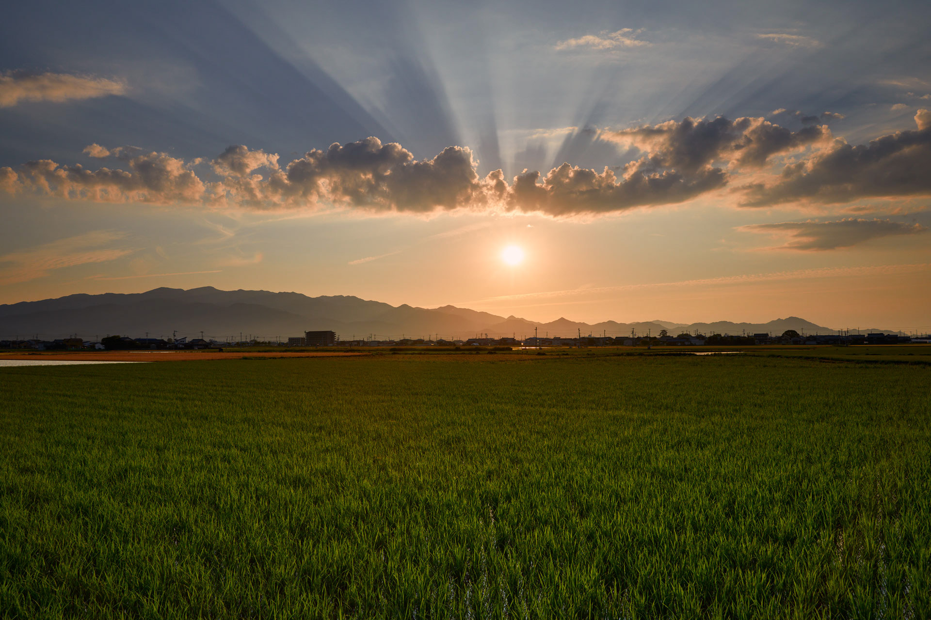 道前平野の夕日