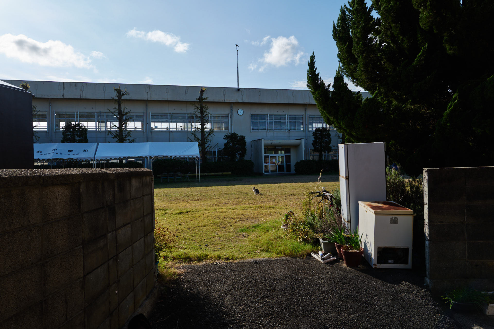 旧伊吹小学校