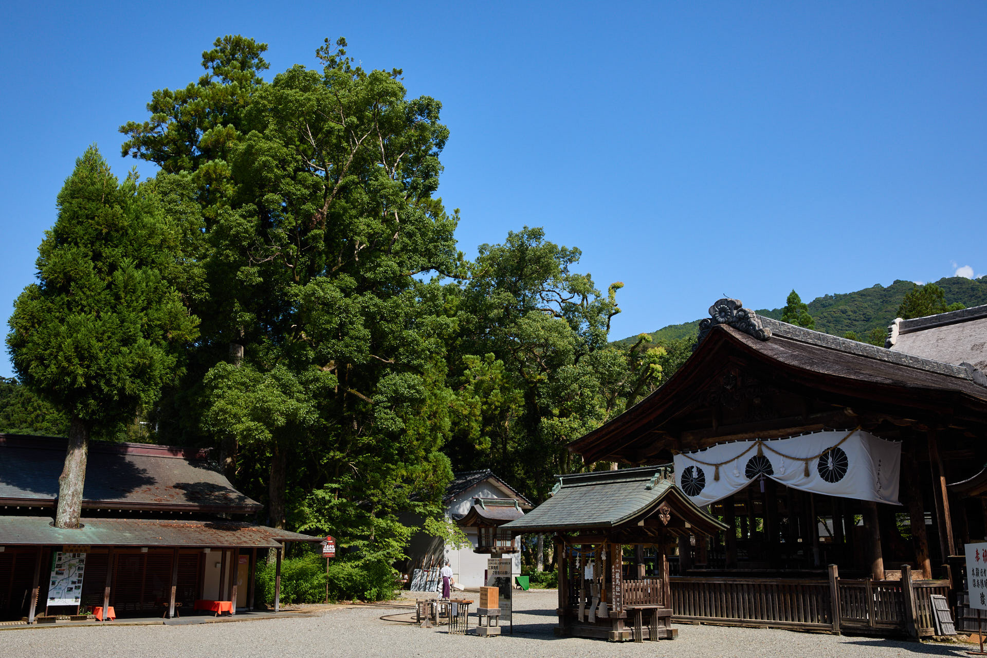 土佐神社