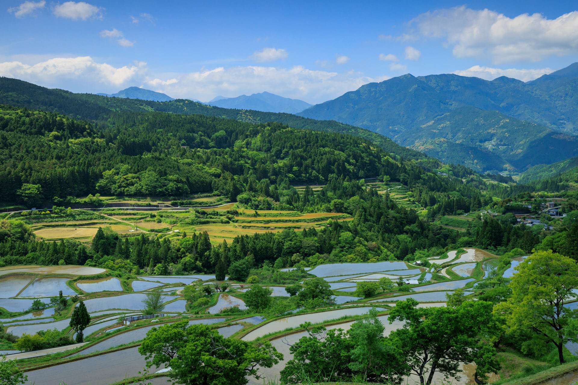 吉延の棚田