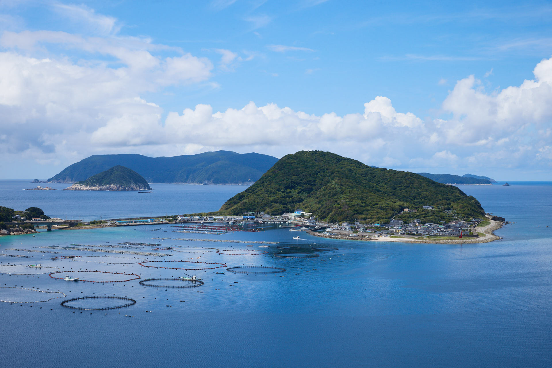 柏島