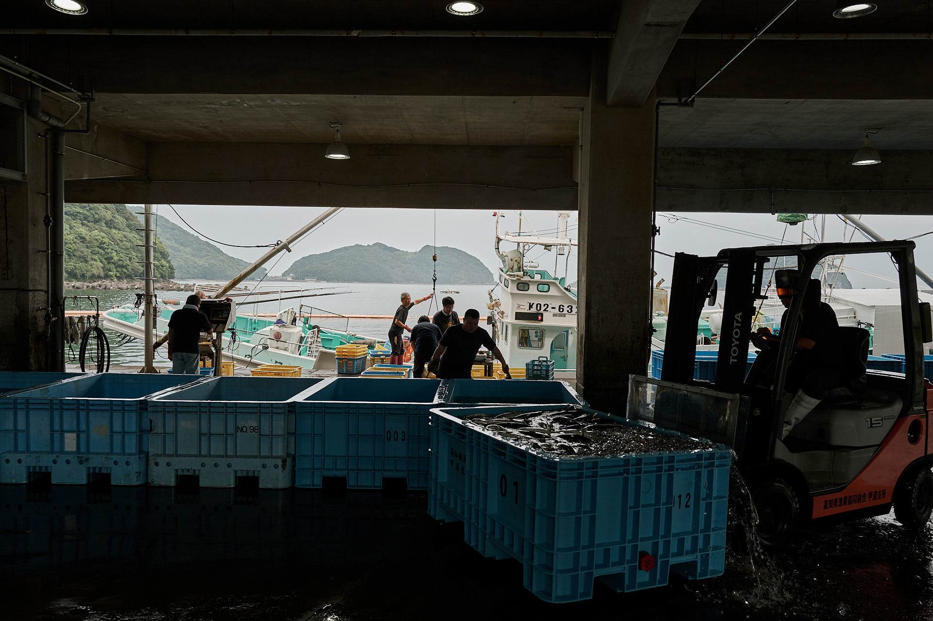 甲浦漁港