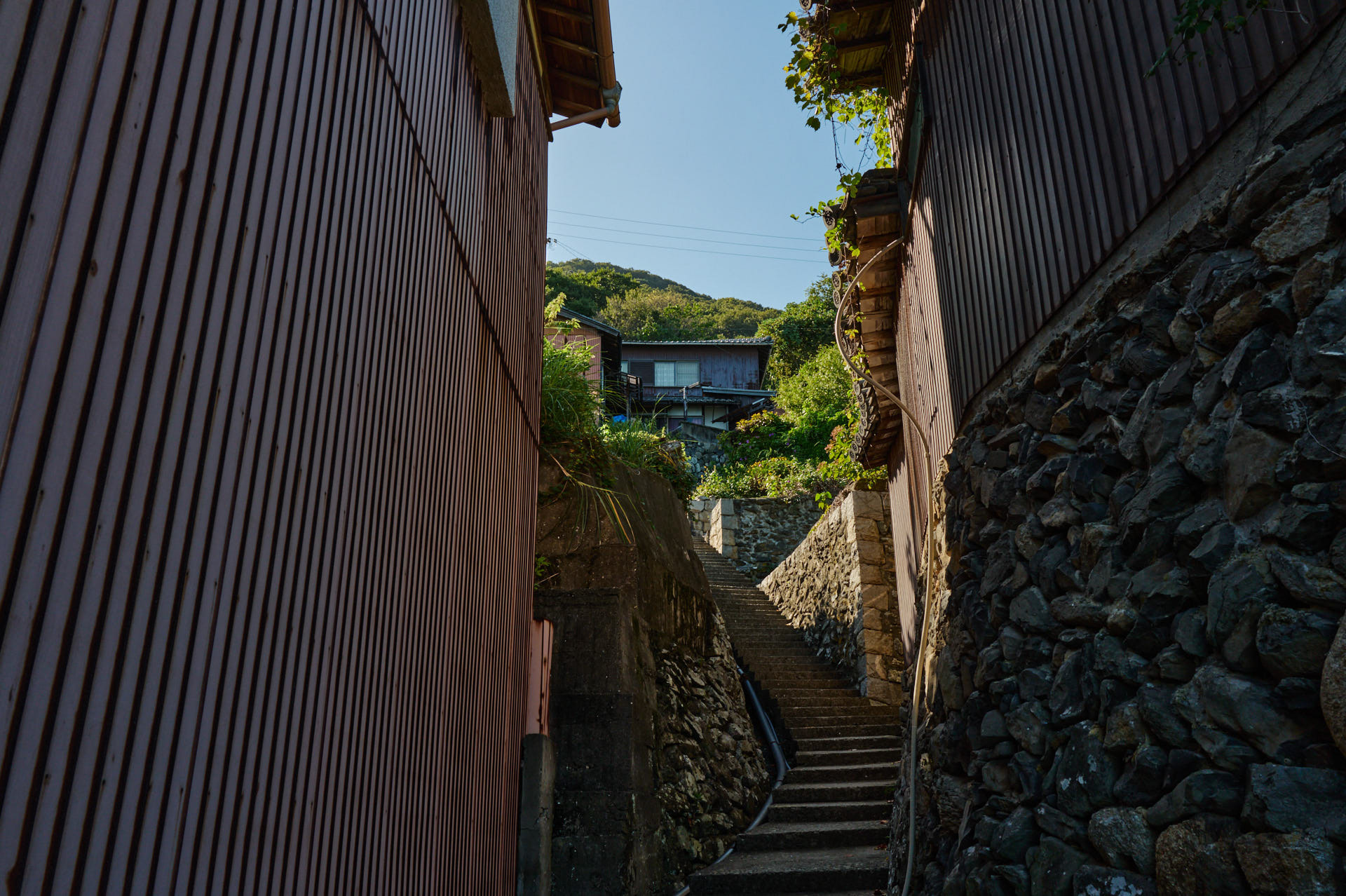 浦地区