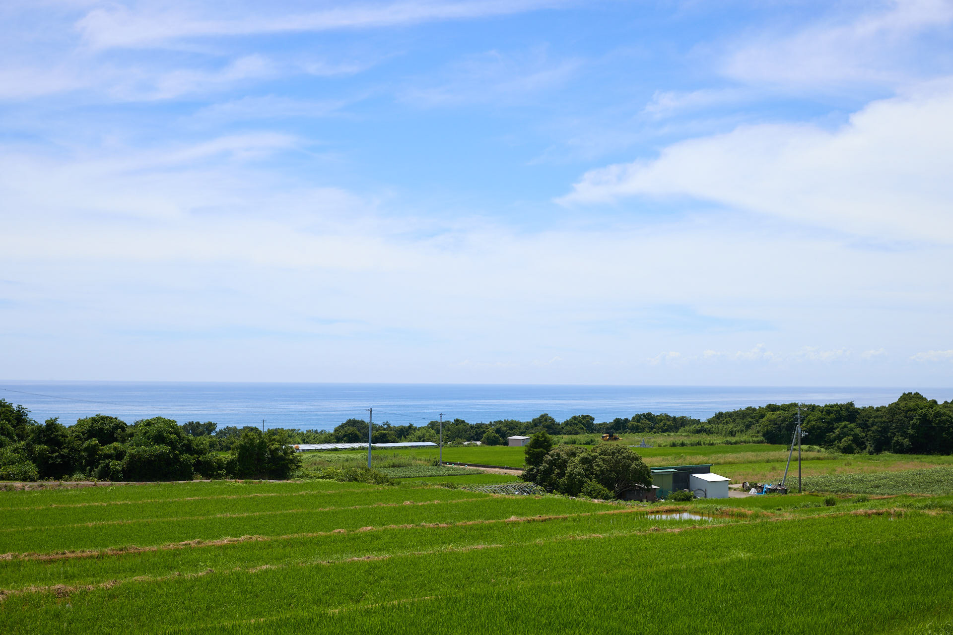 大野台地