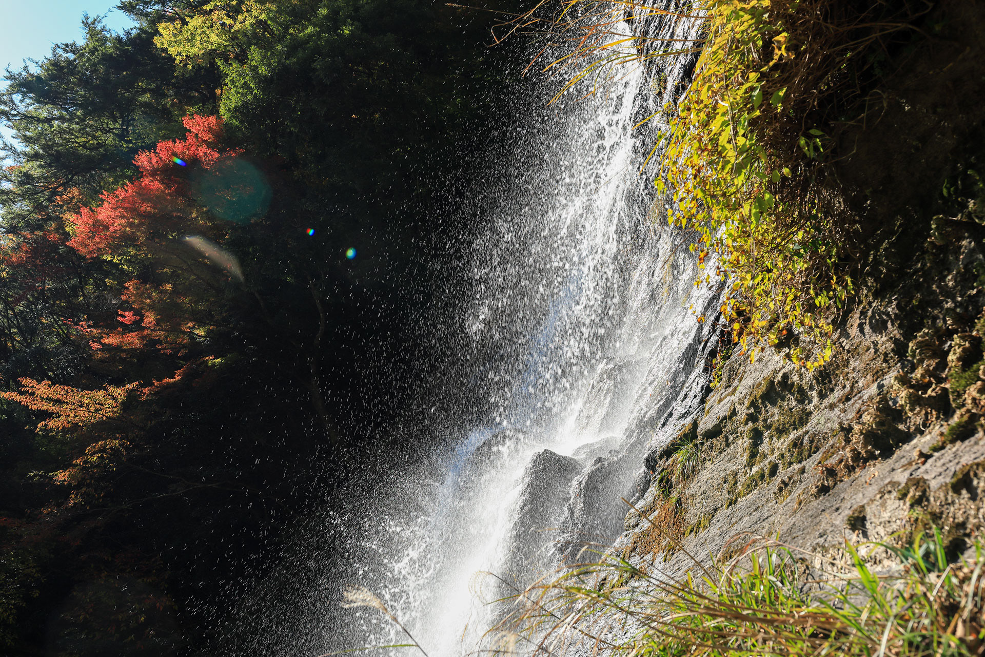 紅葉の程野の滝