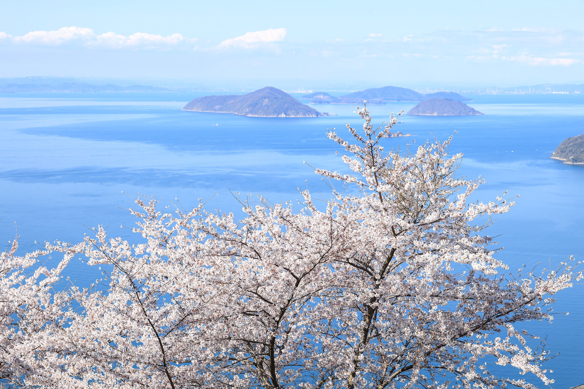 紫雲出山