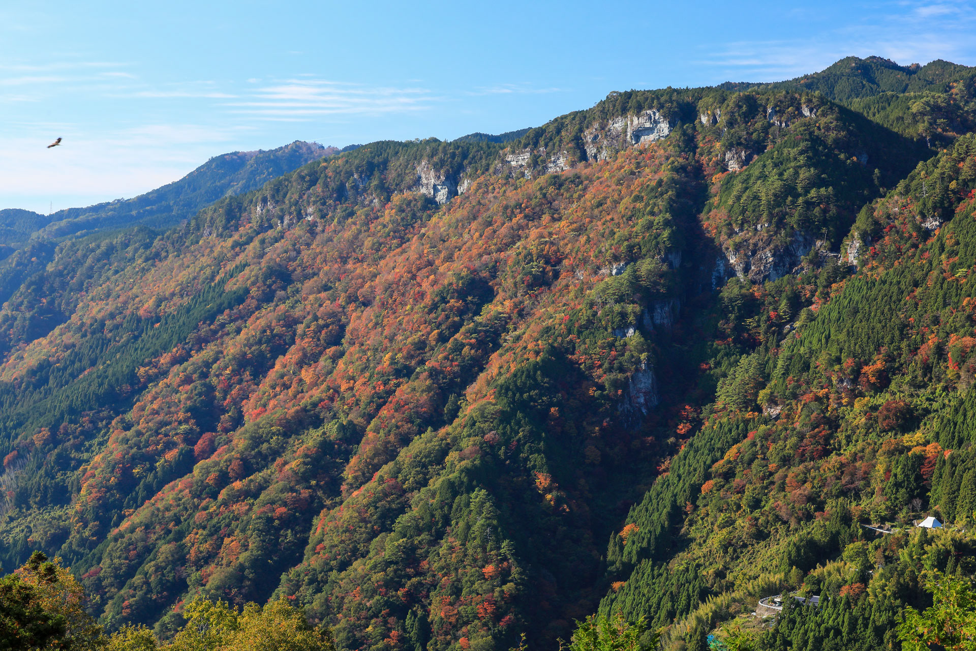 紅葉のグリーンパークほどの