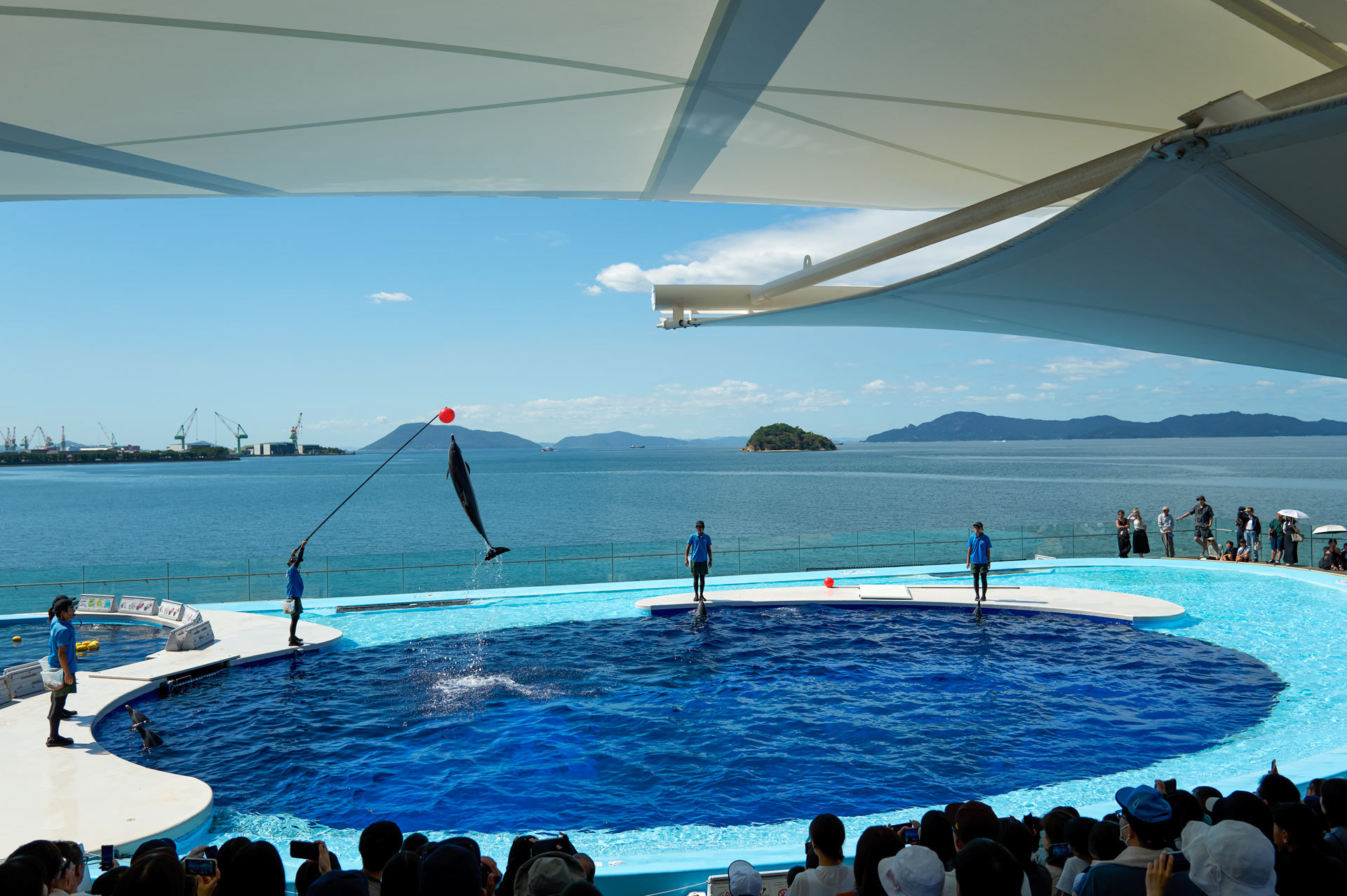 四国水族館 / 宇多津町