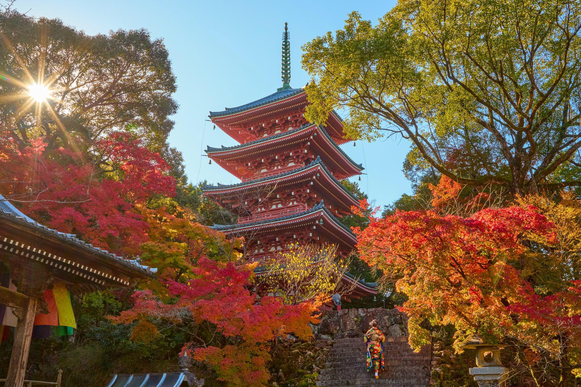 紅葉の五重塔と着物を着た女性
