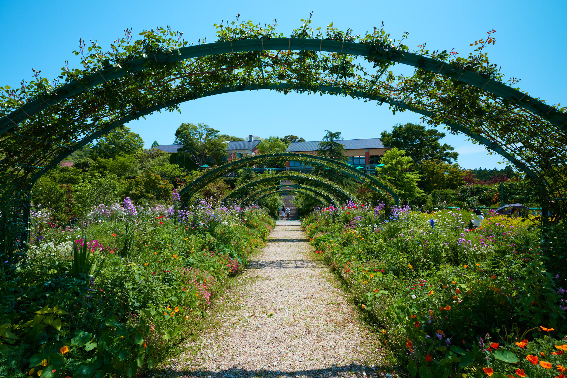 花の庭