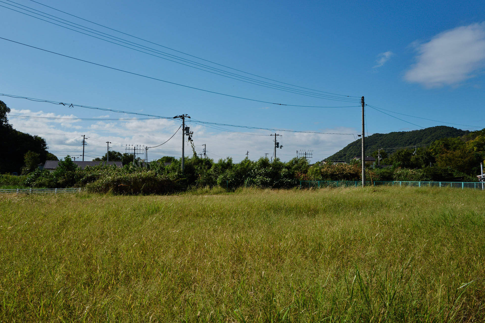 本島地区