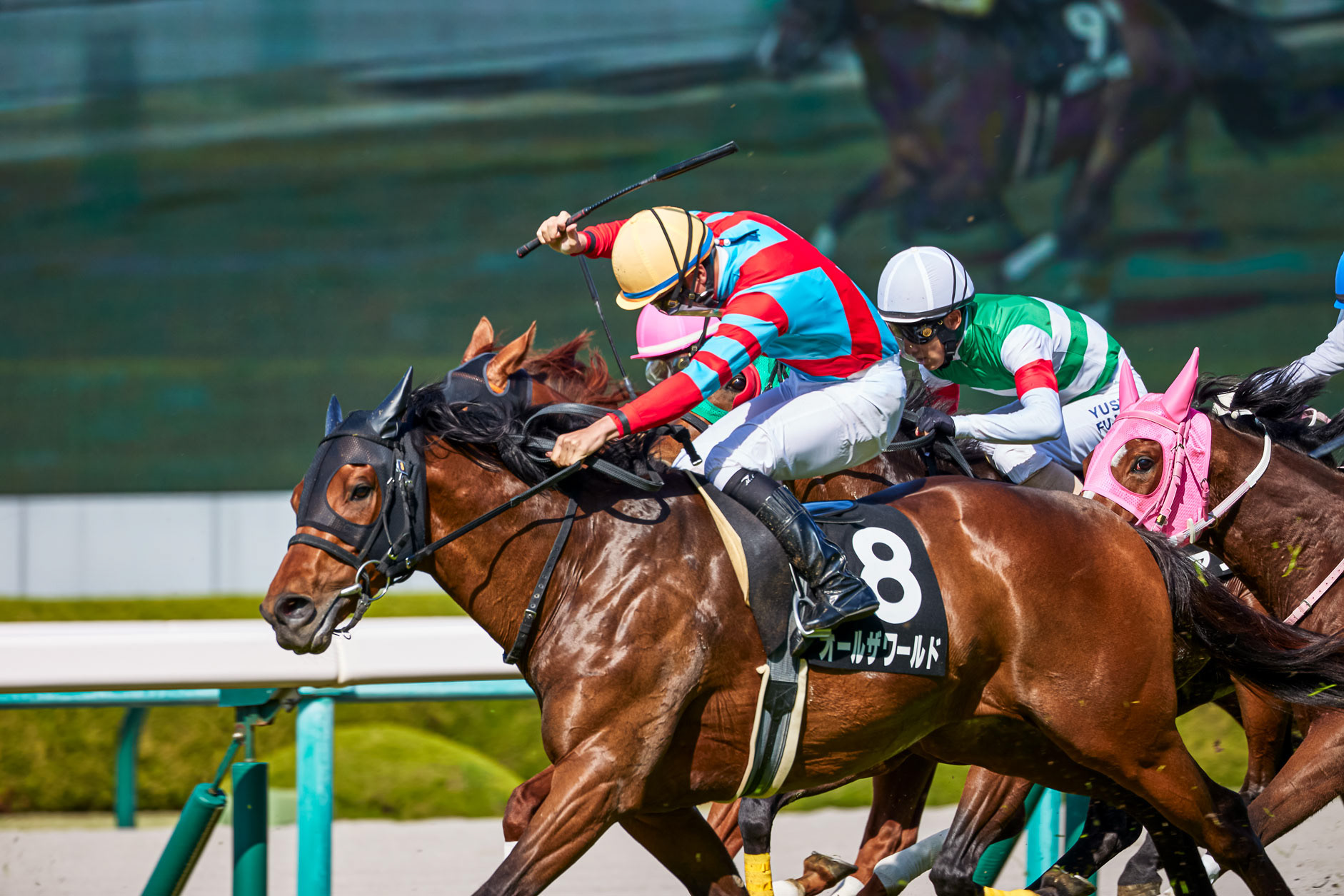 阪神競馬場