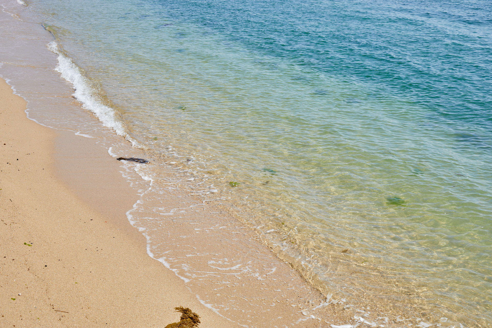 甲生浜海岸