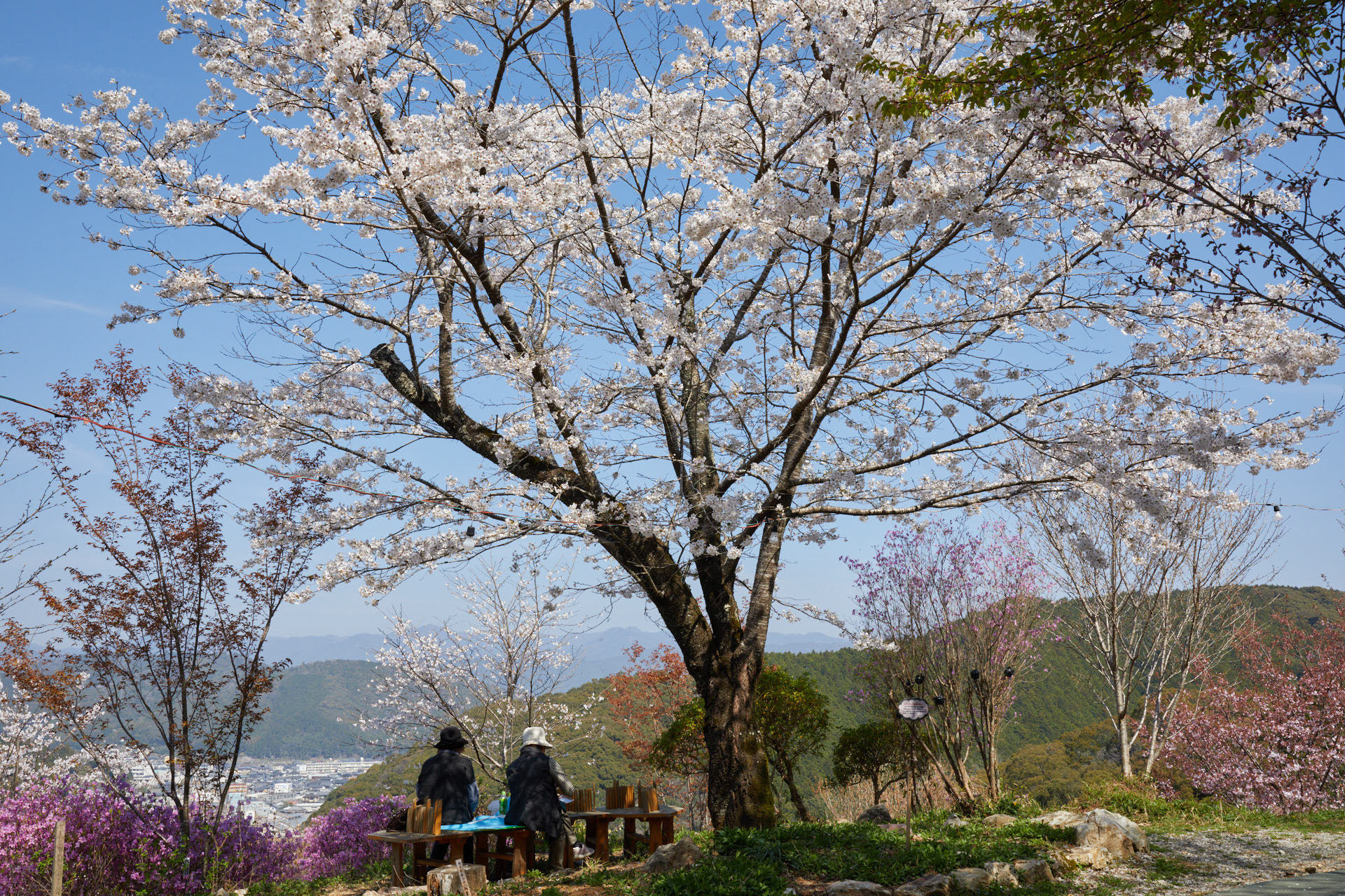牧野公園
