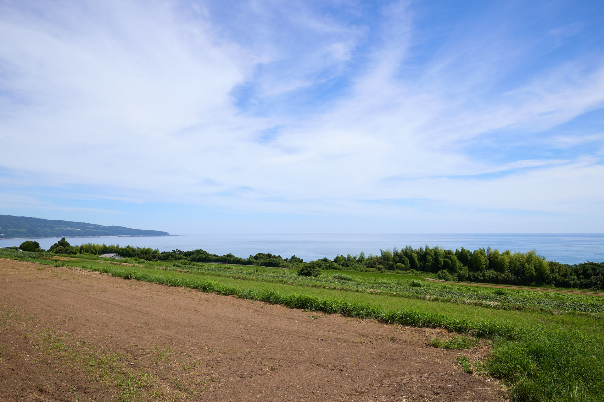 大野台地