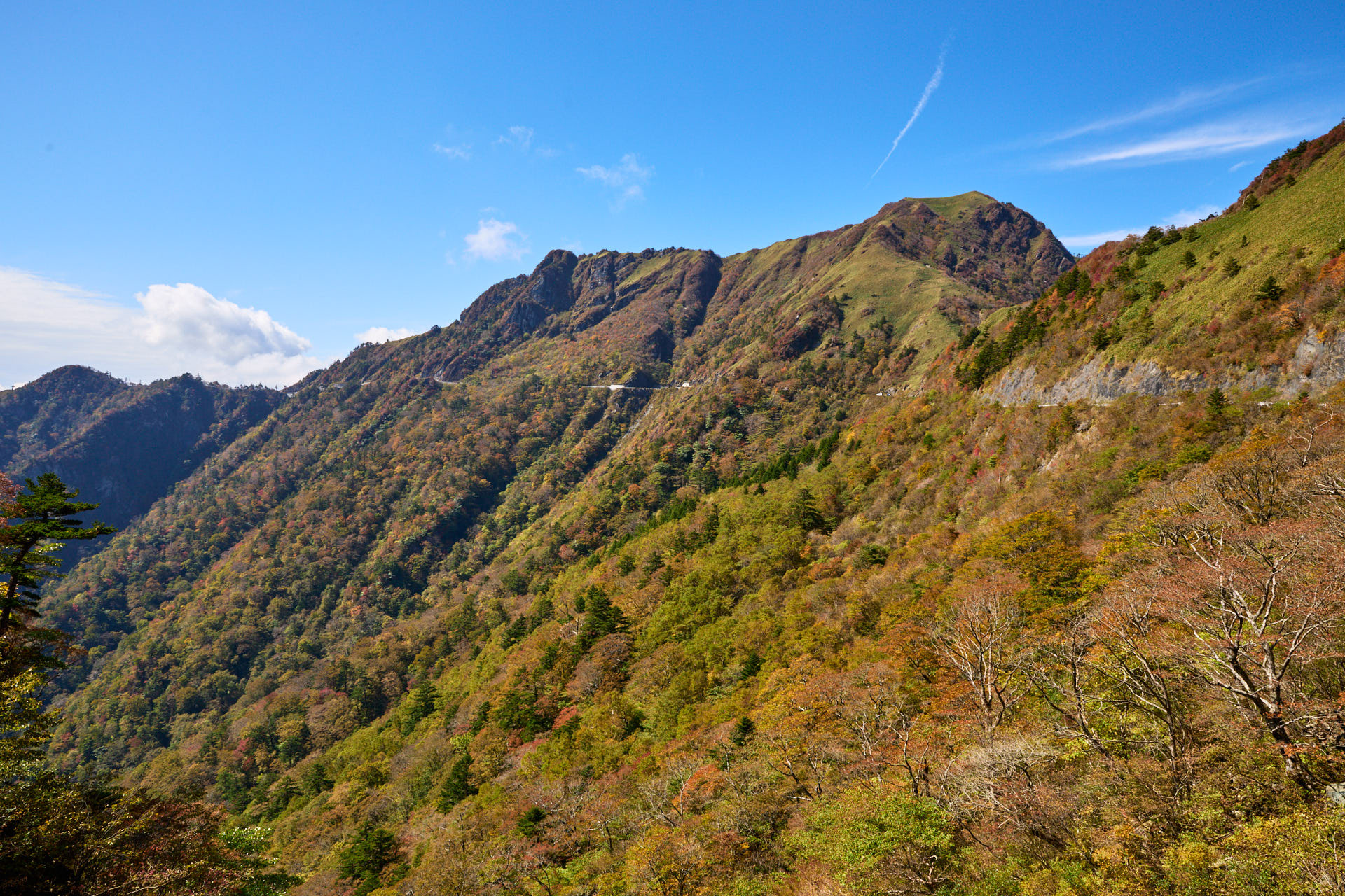 UFOライン