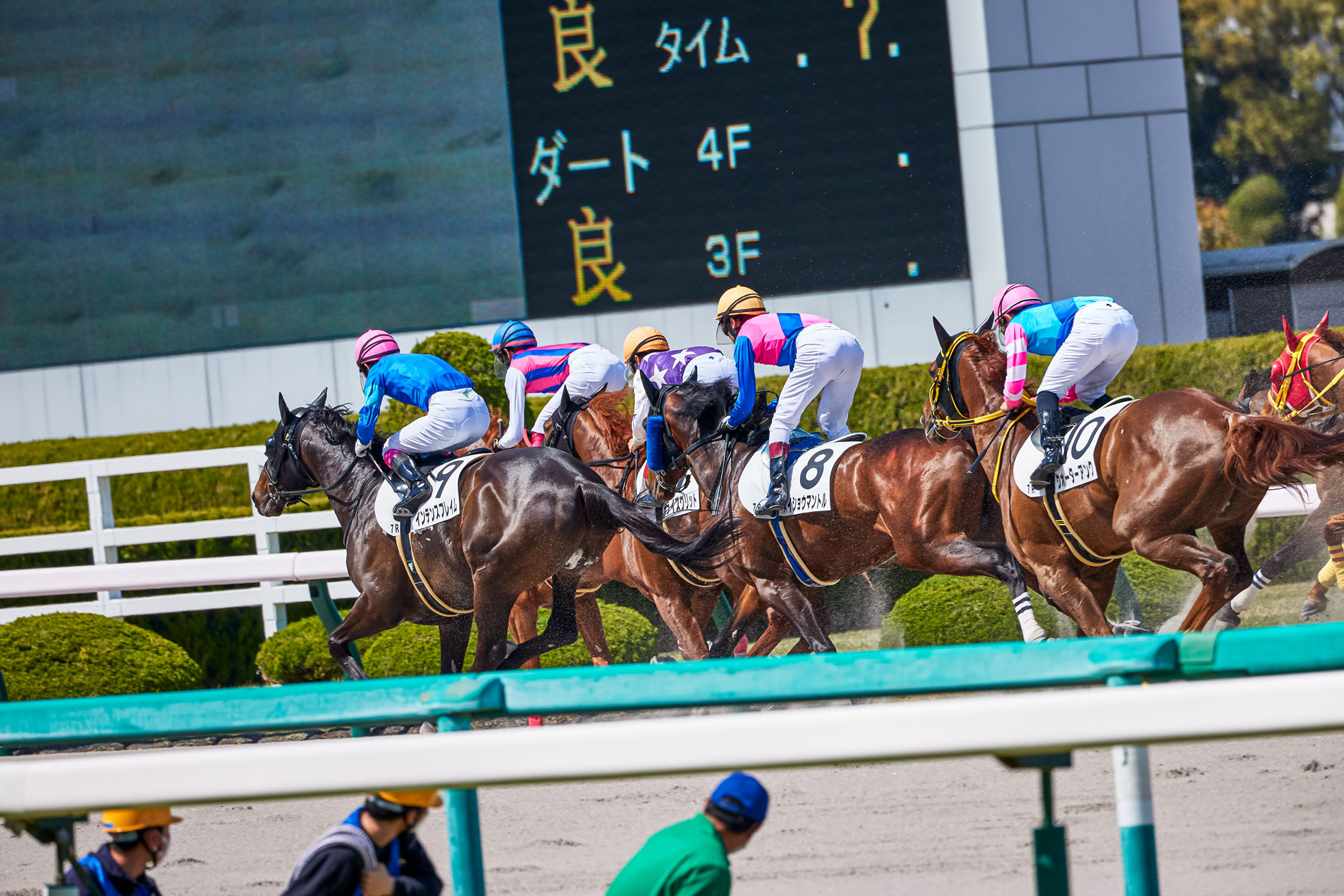 阪神競馬場