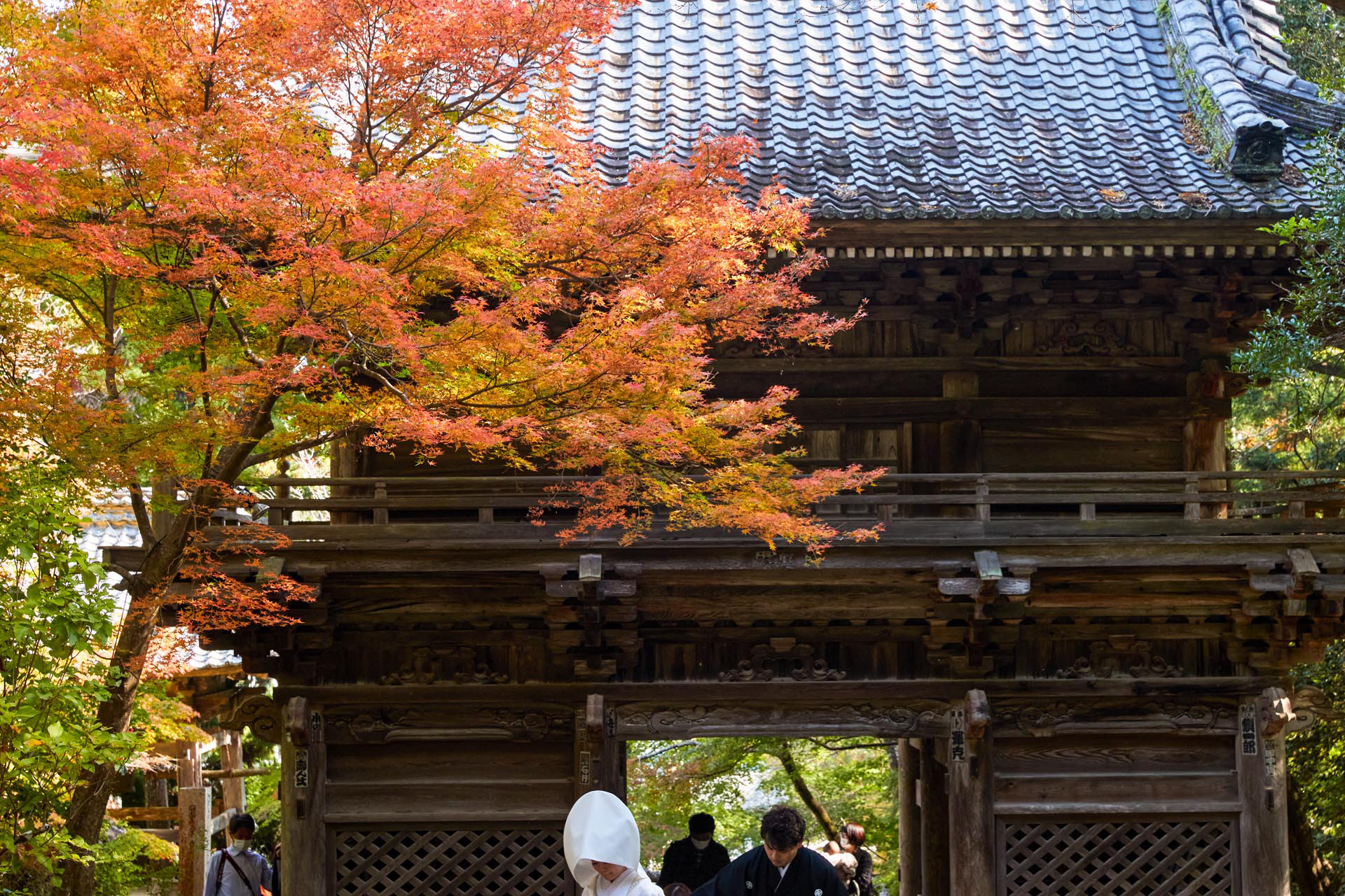 竹林寺 紅葉と花嫁一行