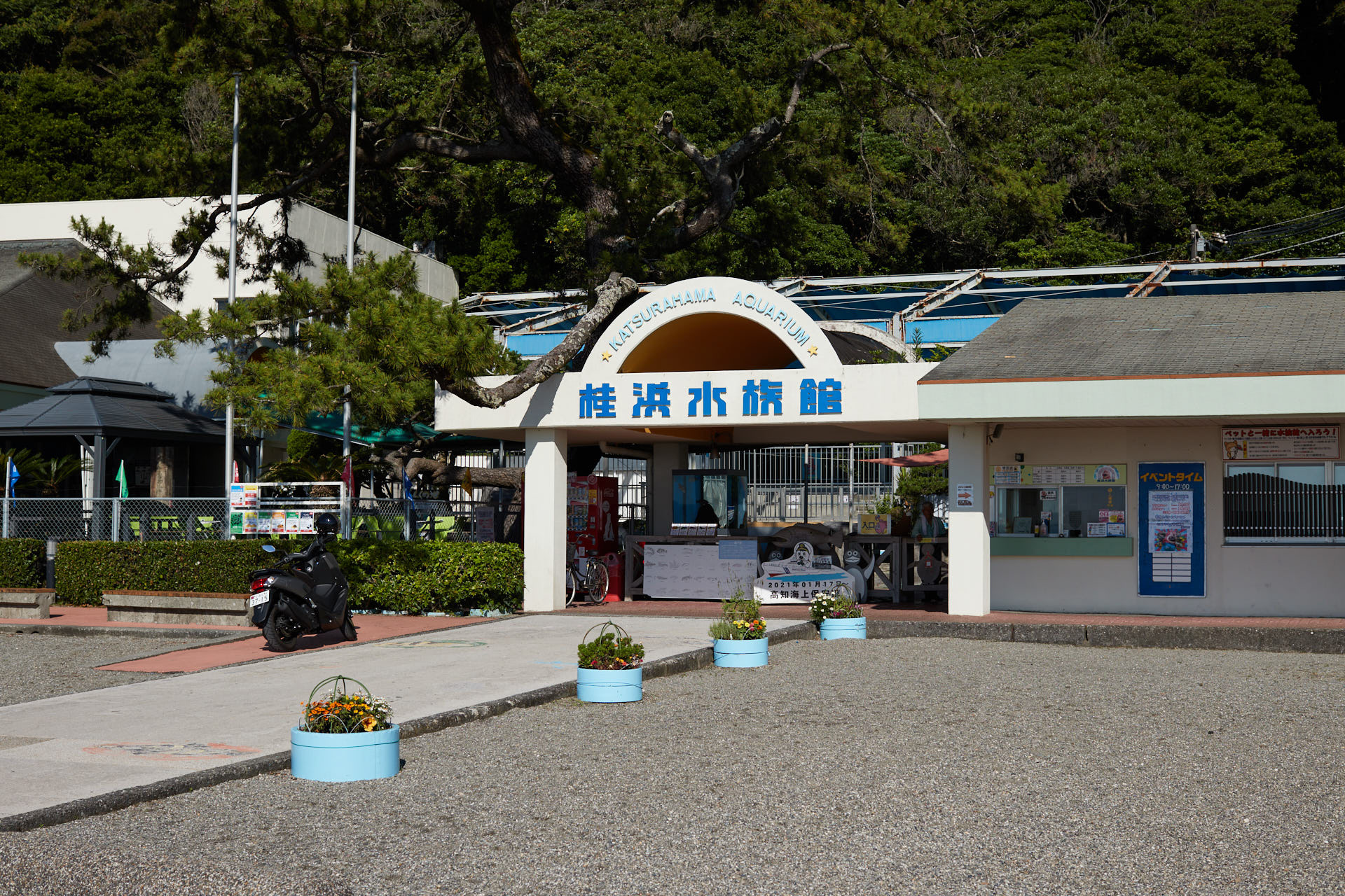 桂浜水族館