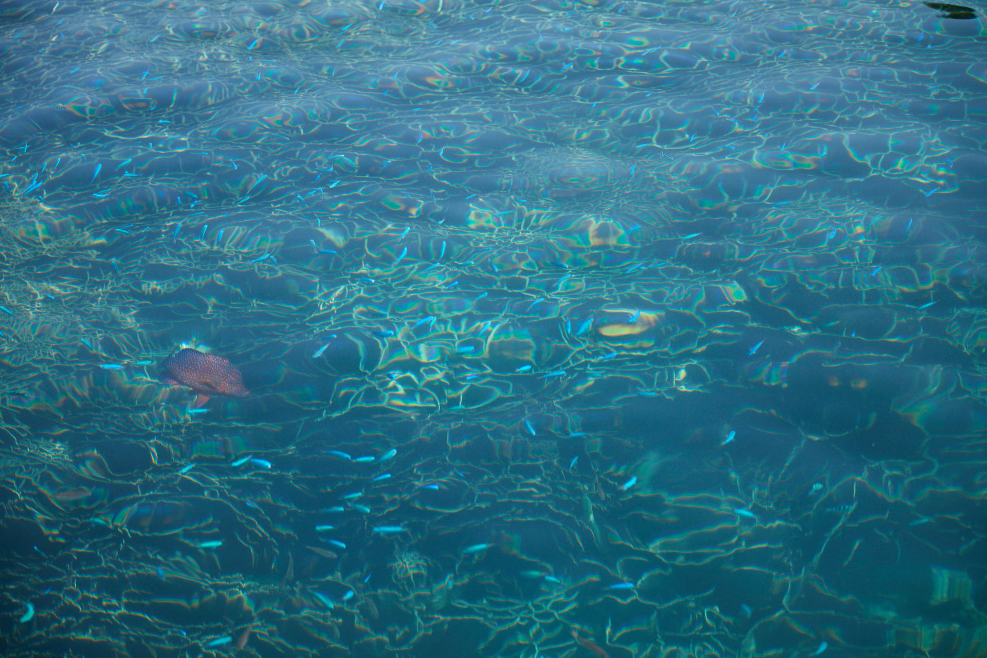 見残し海岸