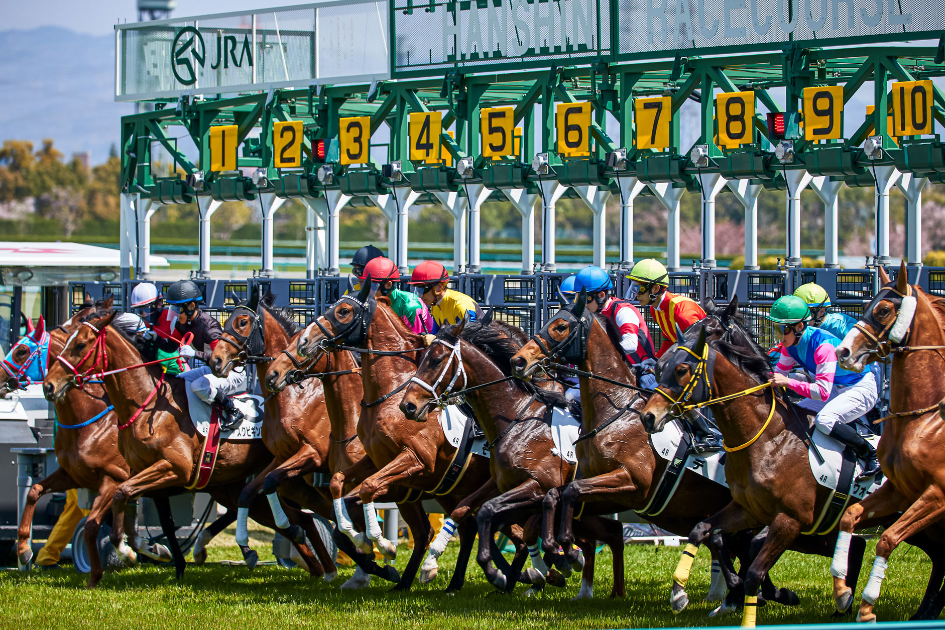 阪神競馬場