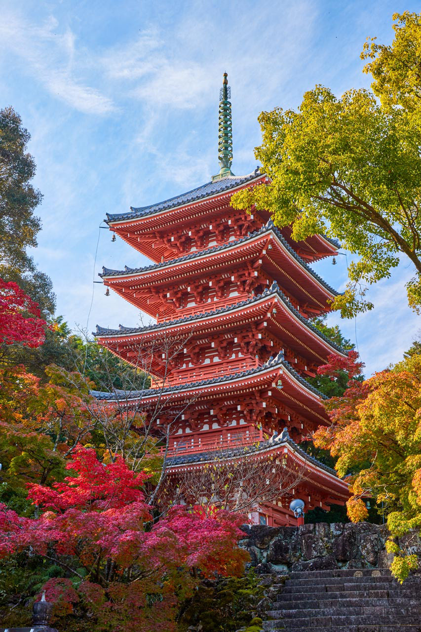 紅葉の五重塔