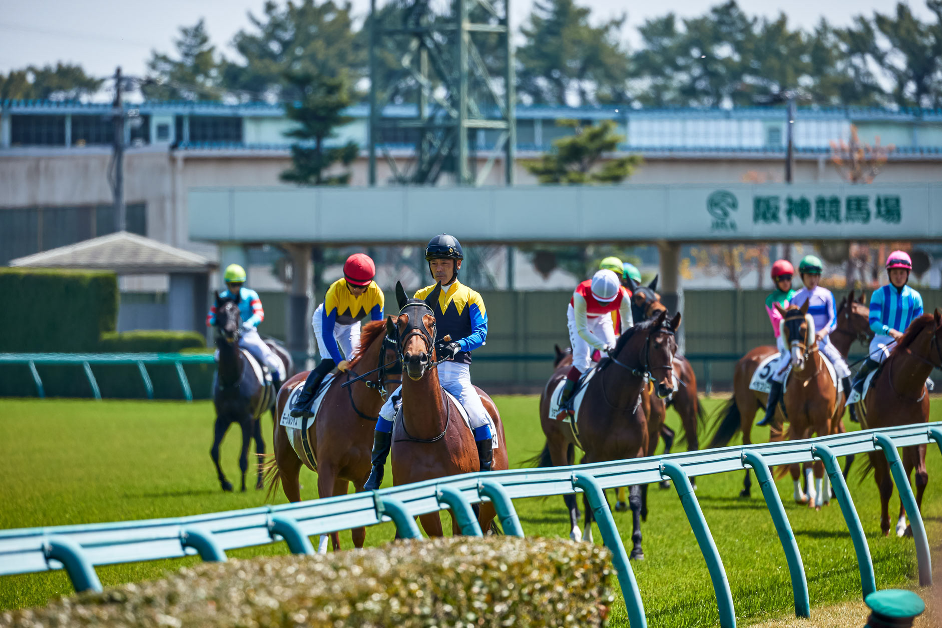 阪神競馬場