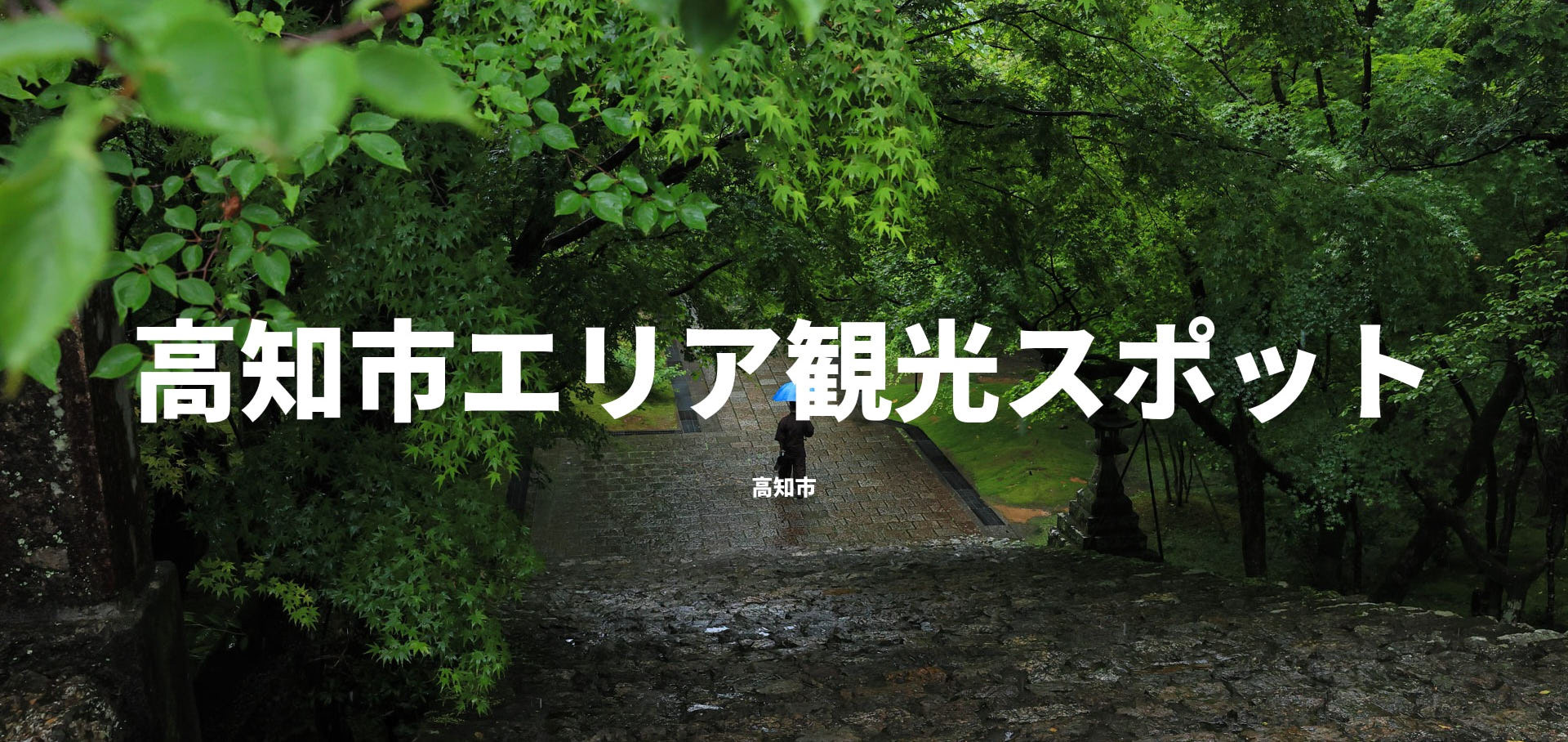 高知市エリア観光スポット