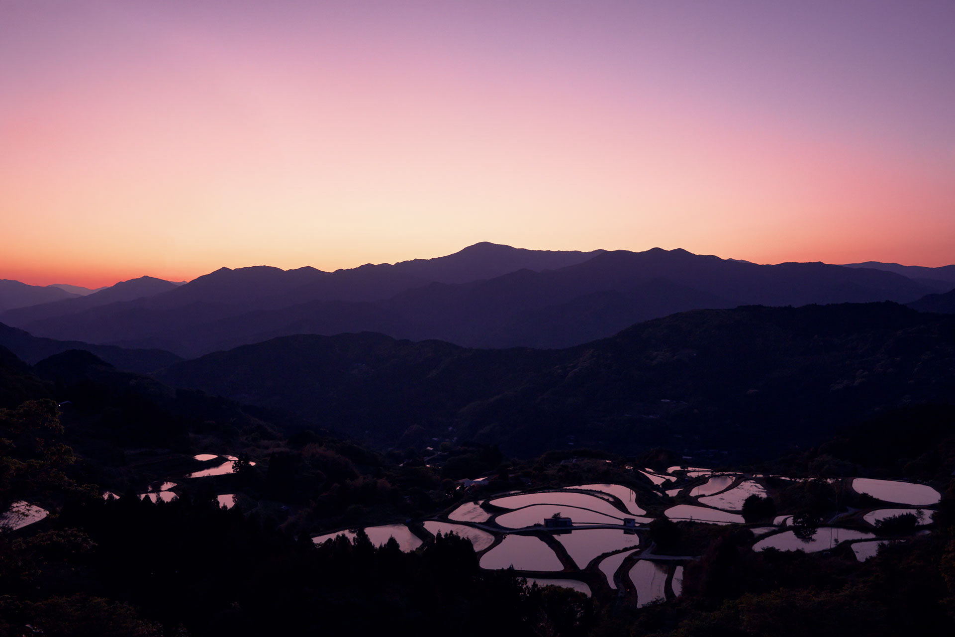 穴内の棚田 田植え