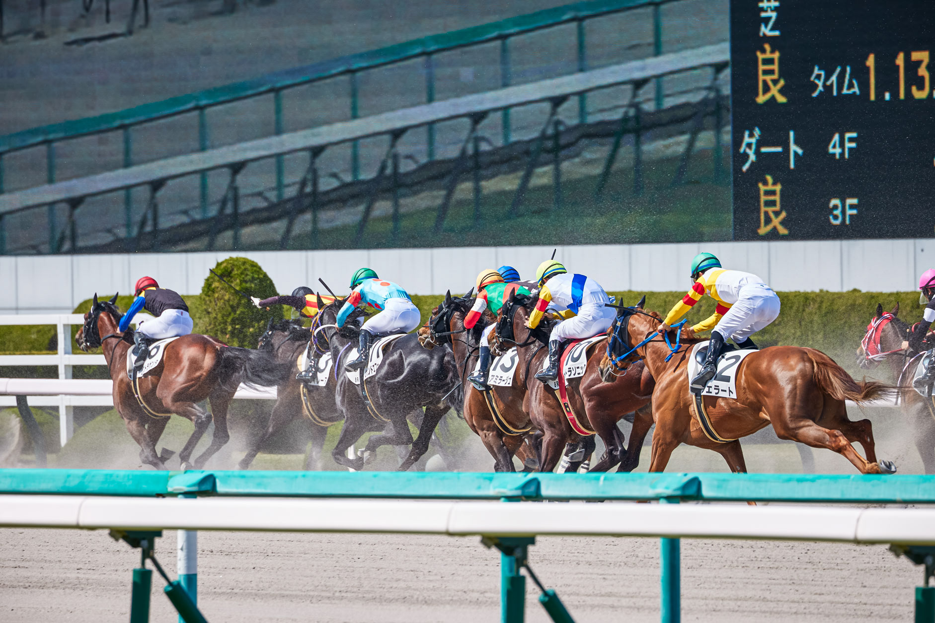 阪神競馬場