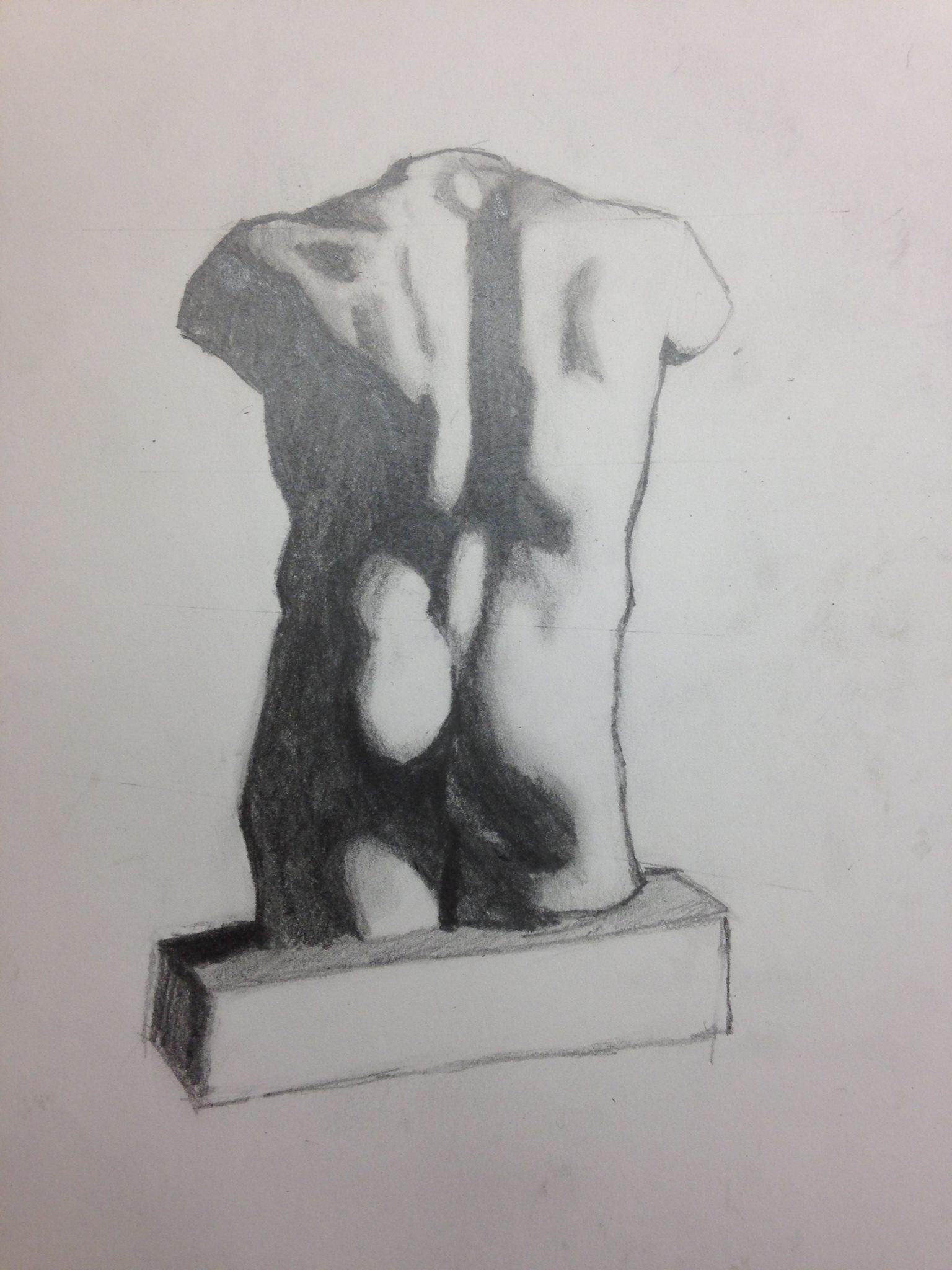 Torso sketch