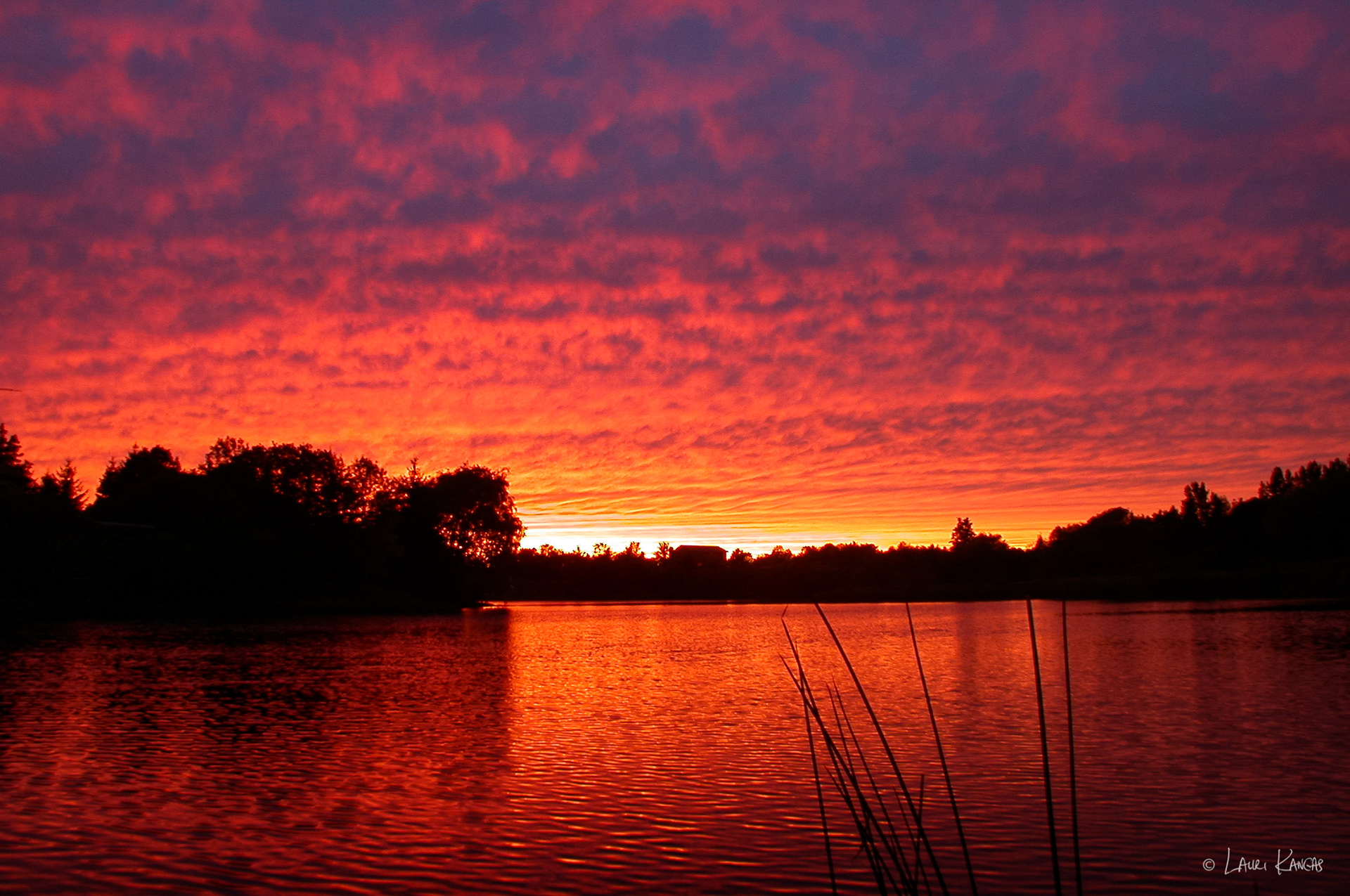 Altocumulus Clouds at Sunset in Caledon