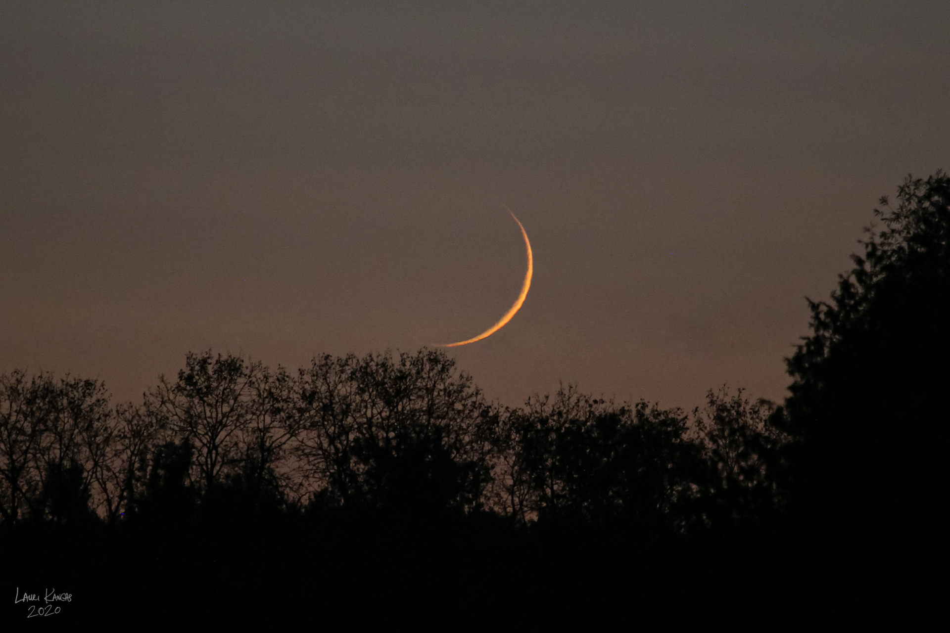 38 Hour Moon - September 19, 2020