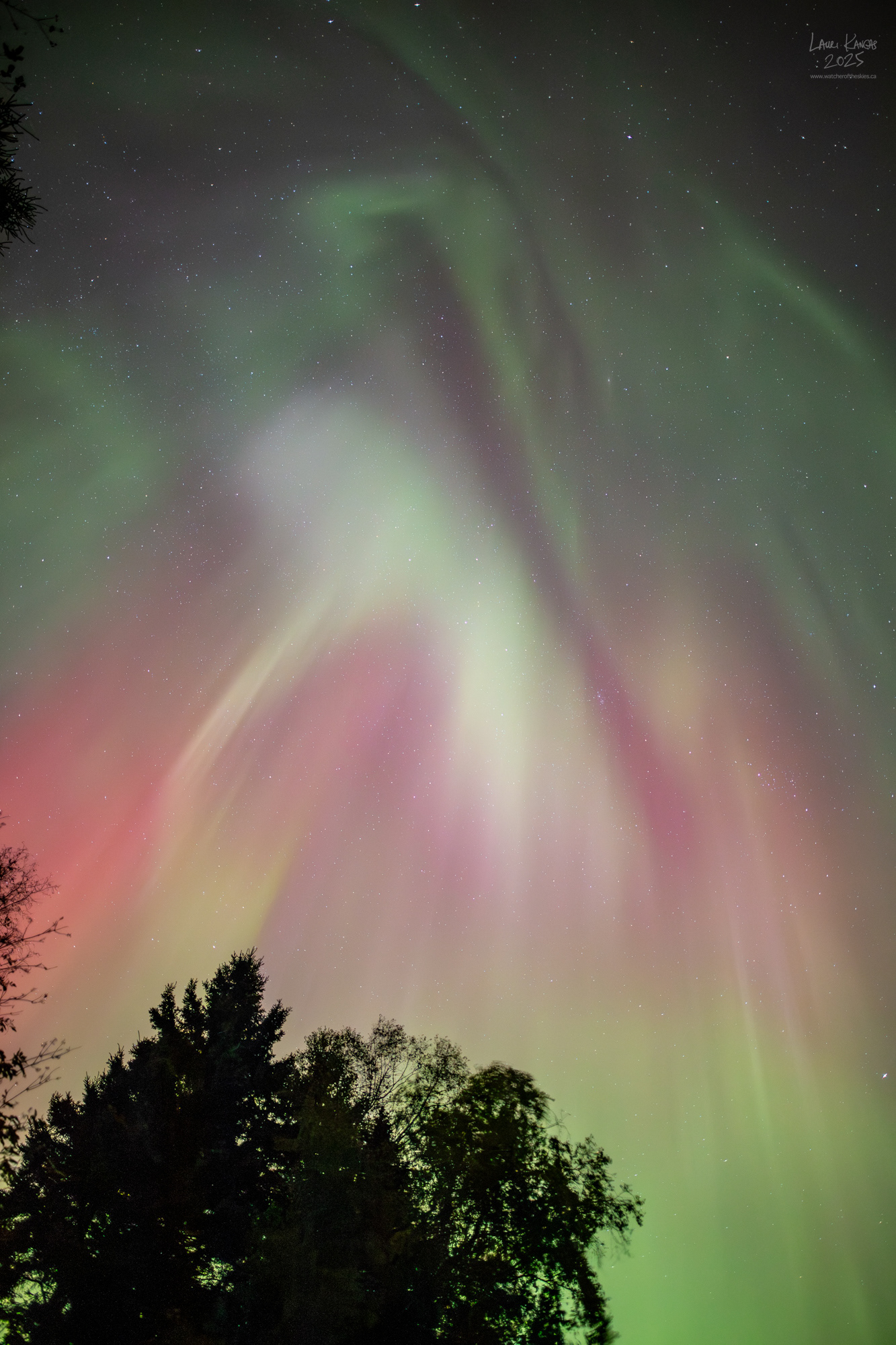 Surprise Equinox Aurora - Amethyst Bay, Lake Superior, Ontario