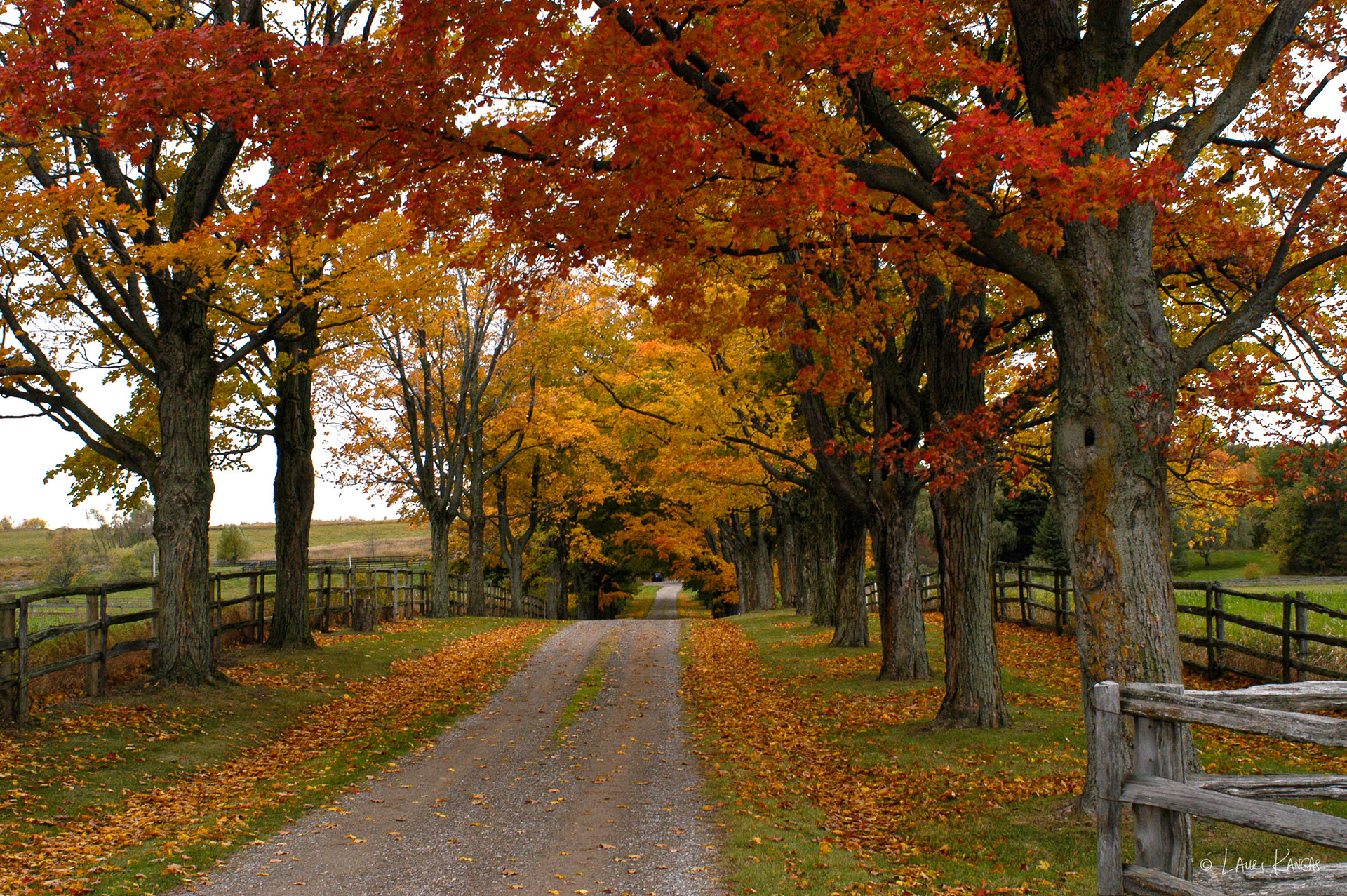 Autumn in Caledon, Ontario
