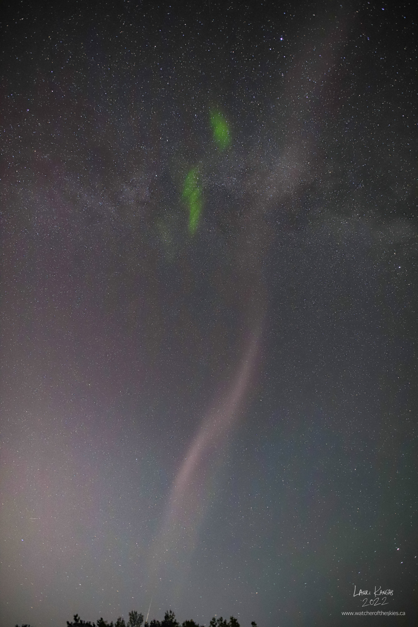 STEVE appeared during the G1 Geomagnetic Storm on July 22/23, 2022