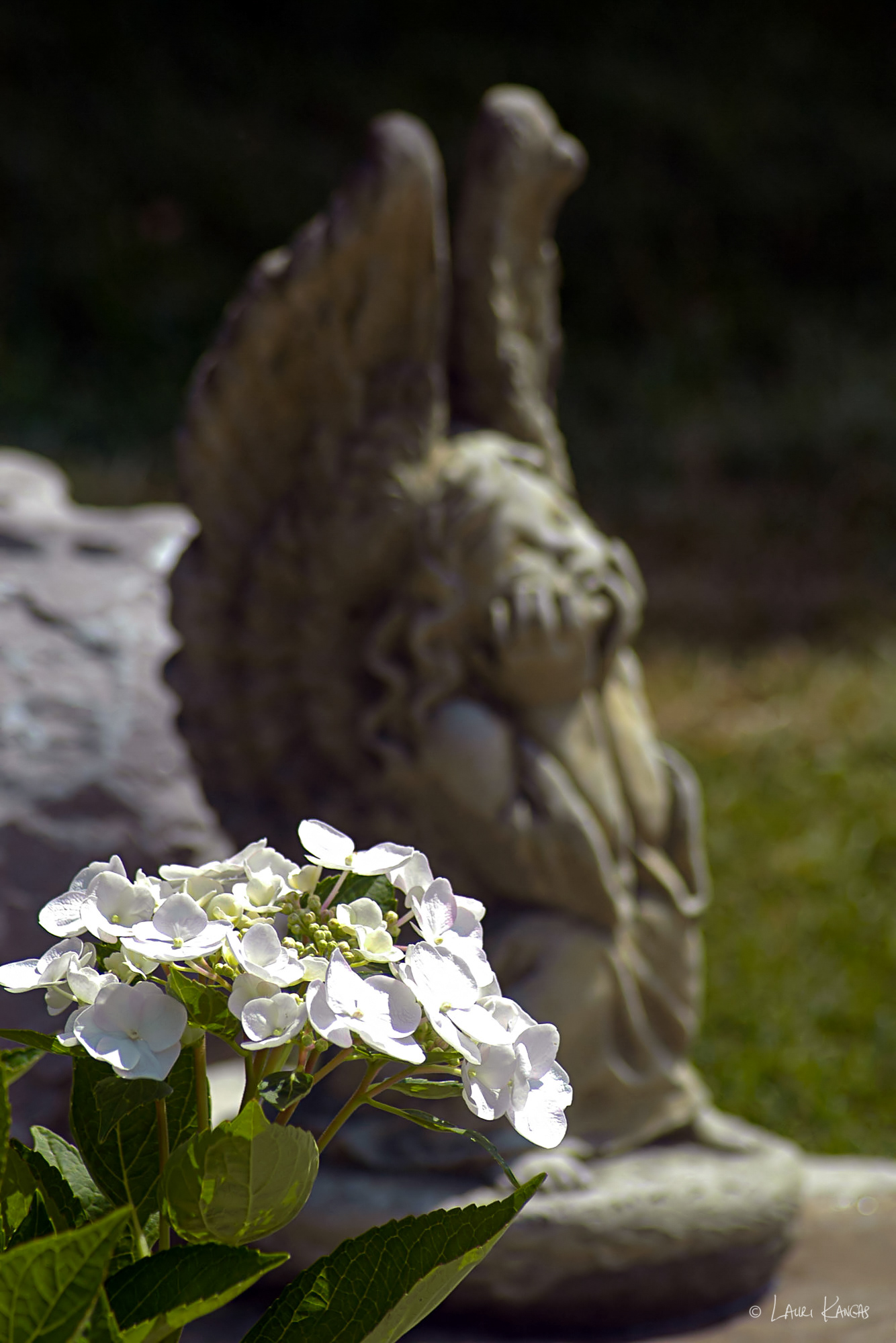 Garden Angel