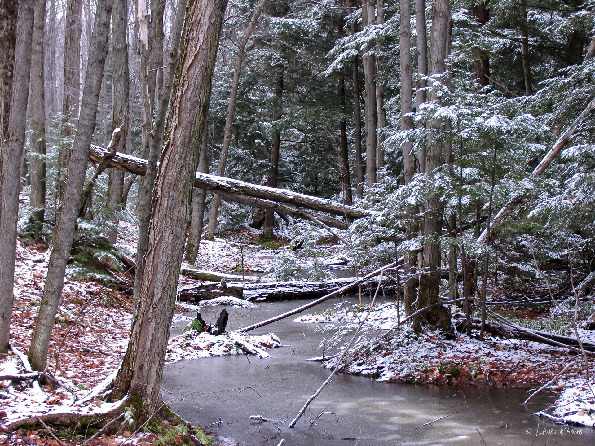 Mono Cliffs Provincial Park