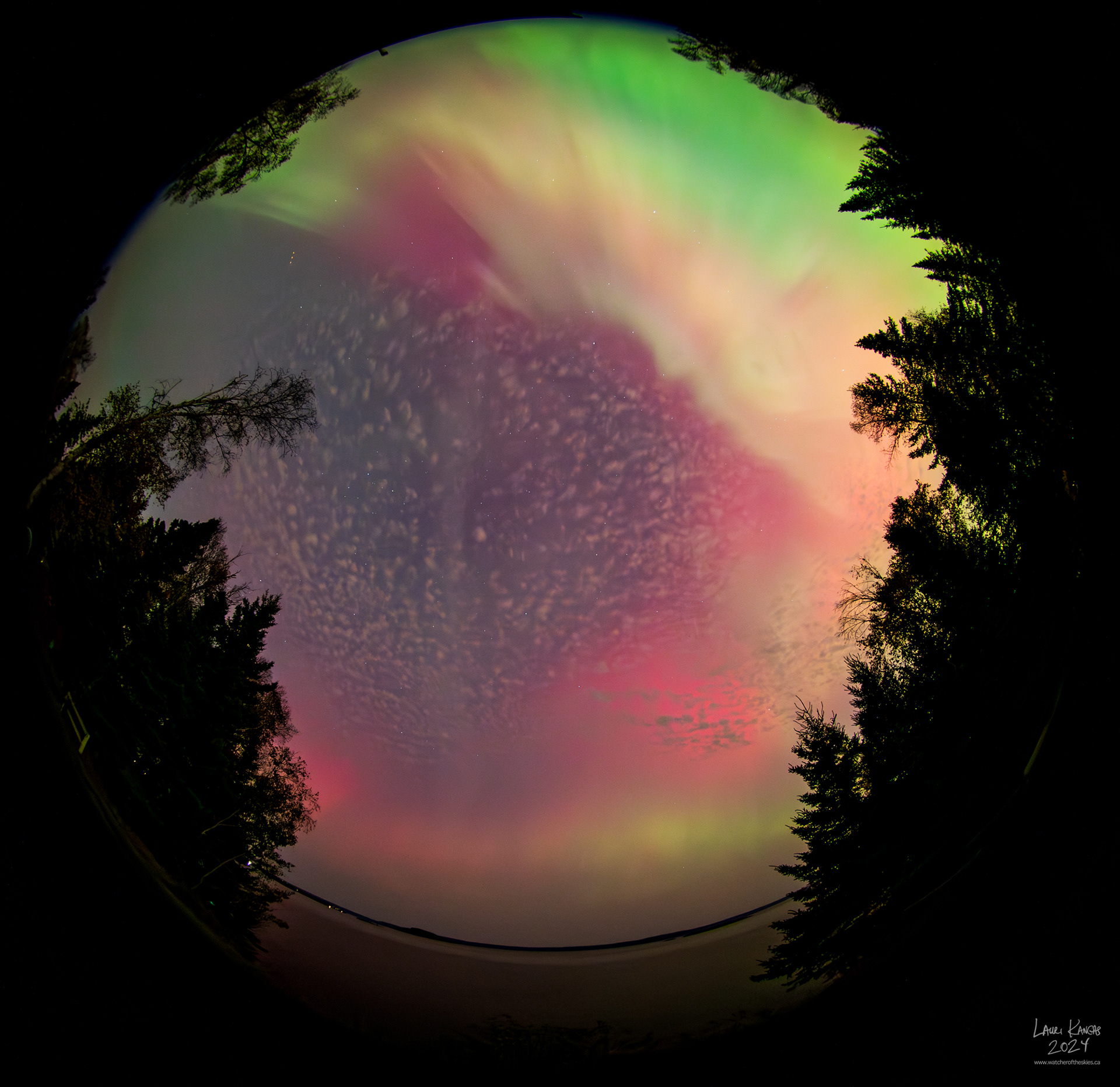 Full sky aurora over Amethyst Bay during G4 Geomagnetic Storm